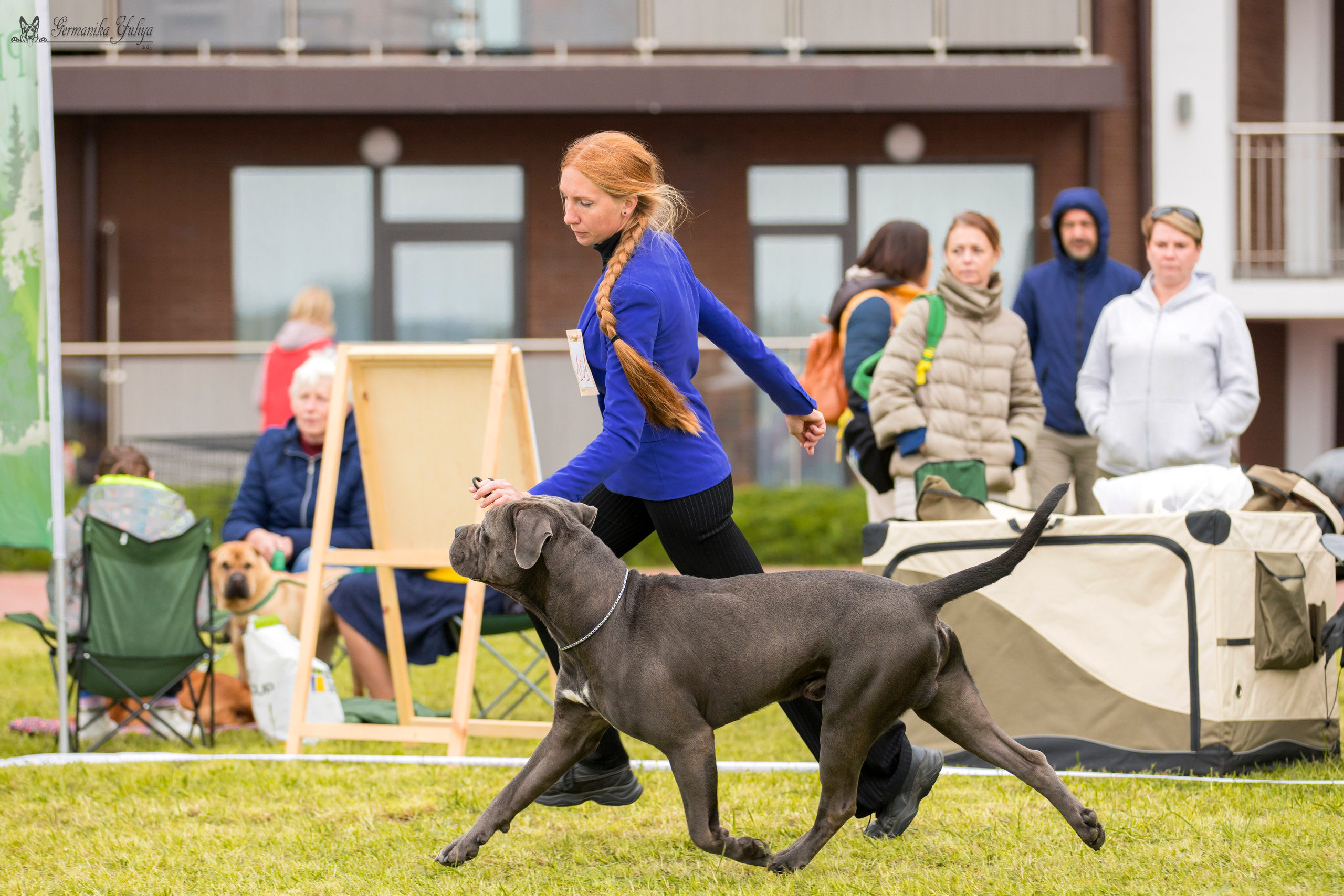 Переславль 9-10.09.2023. Фотограф-анималист Юлия Германика