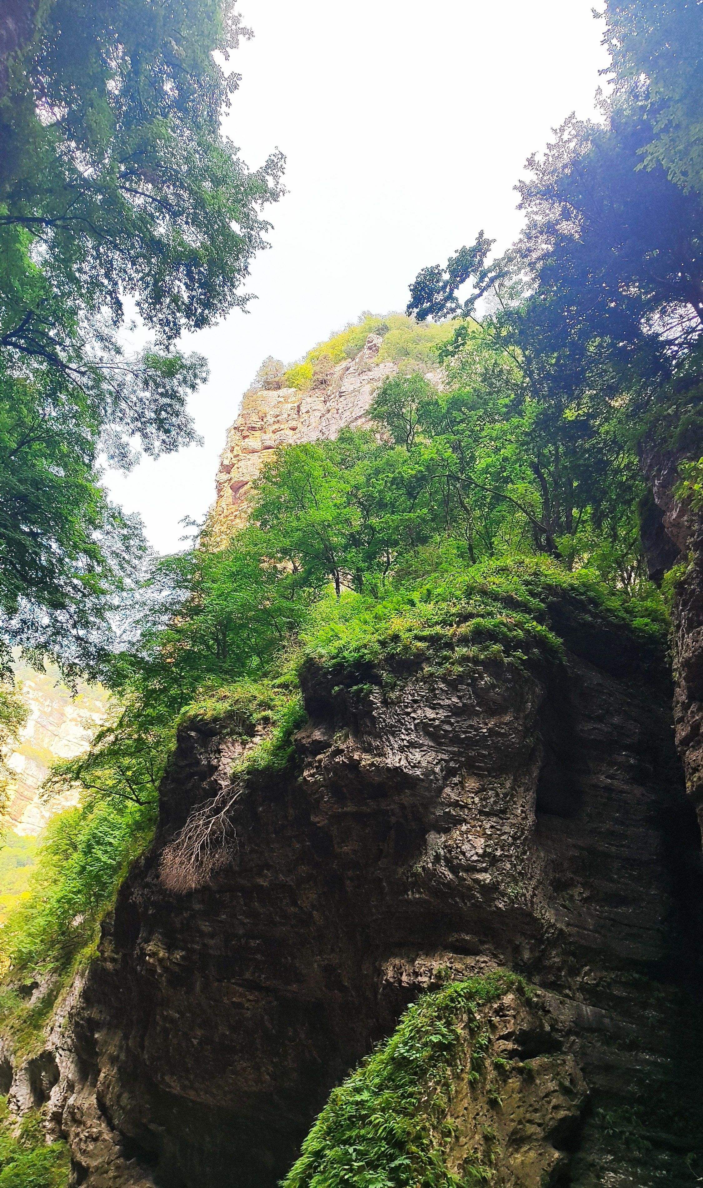 Природа. Пейзажи. Фотограф в Санкт-Петербурге Александр Костюнин