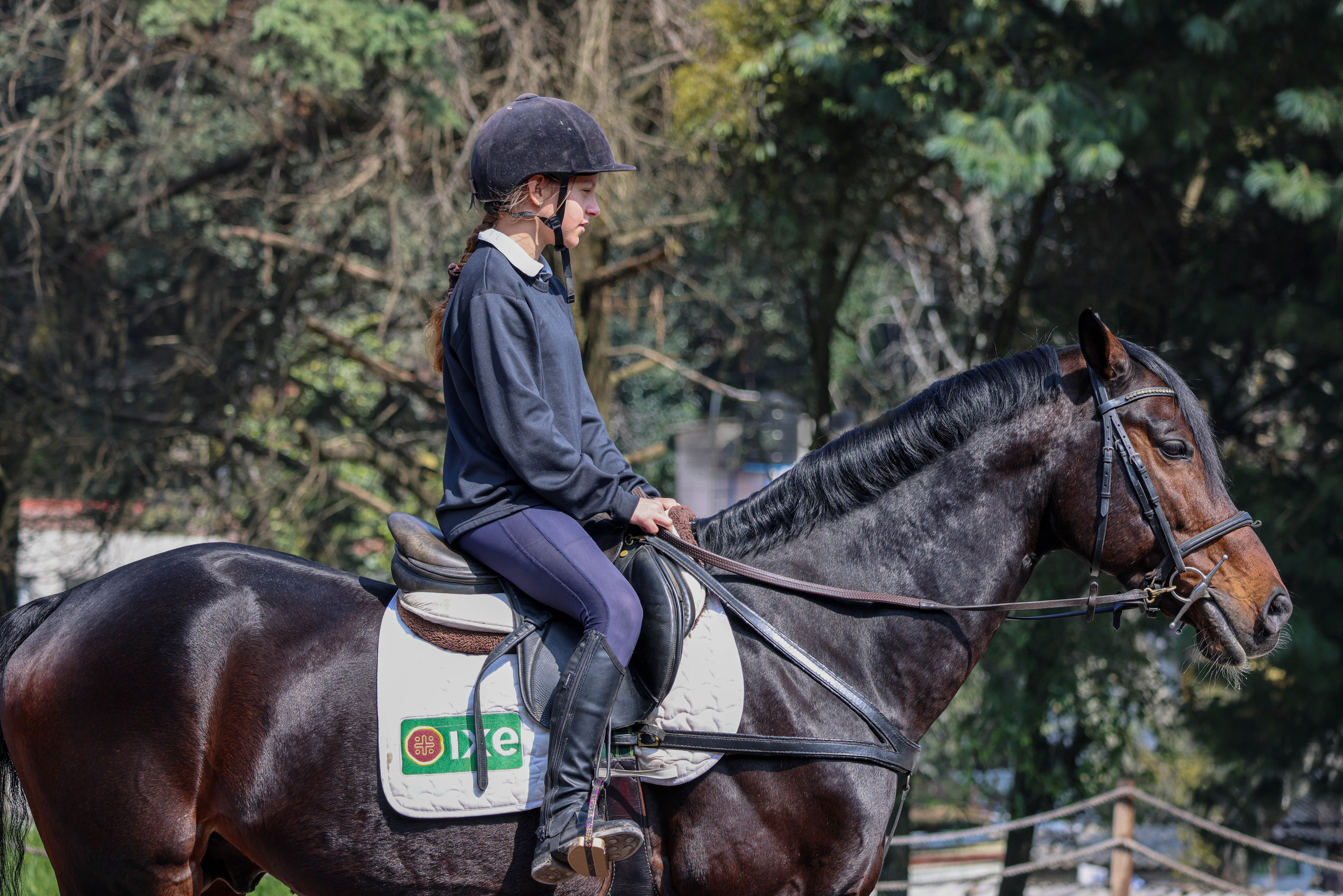 Лошади. Kateserbina