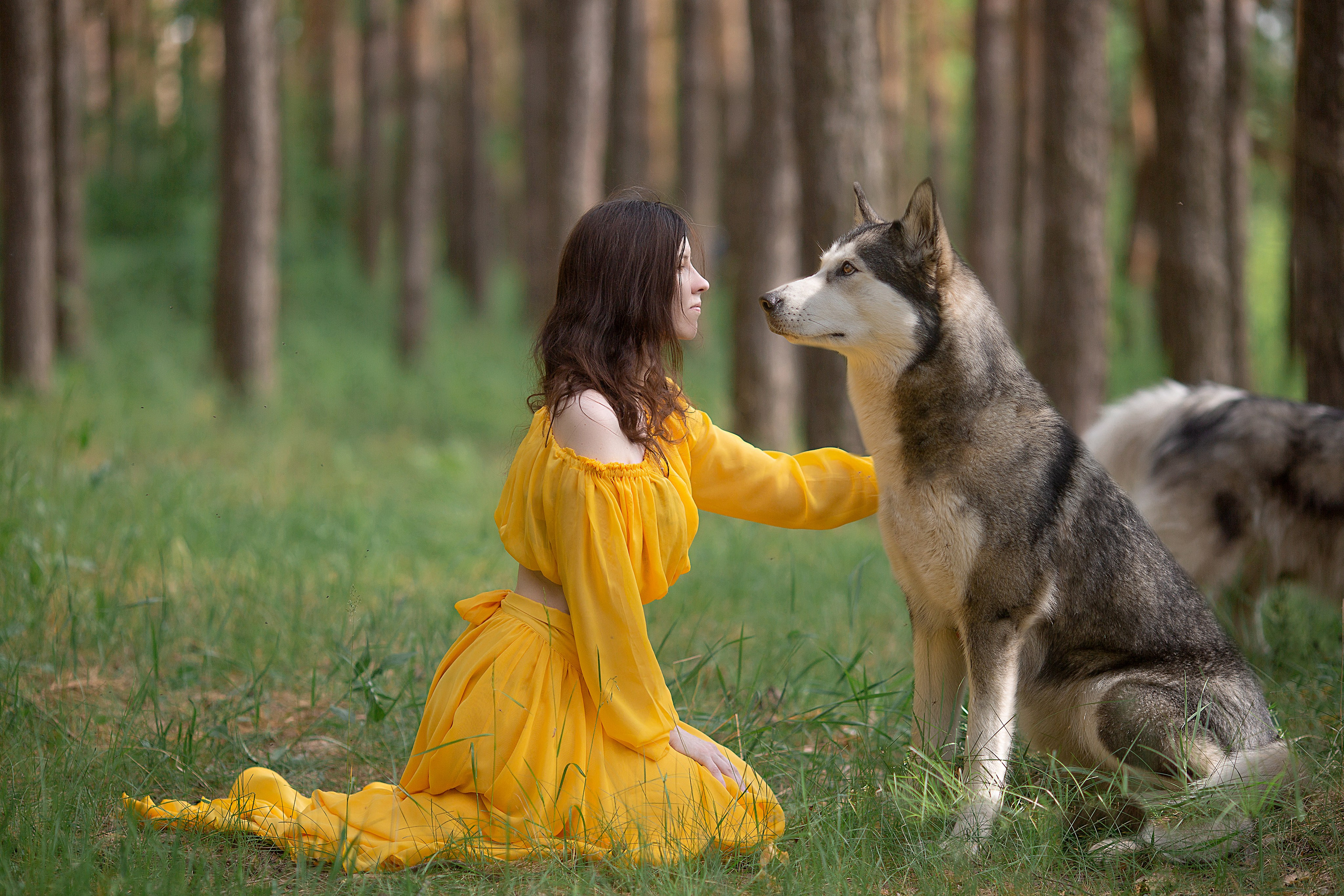 Наталья фотосессия с собаками. Фотосессия с лошадьми в Нижнем Новгороде