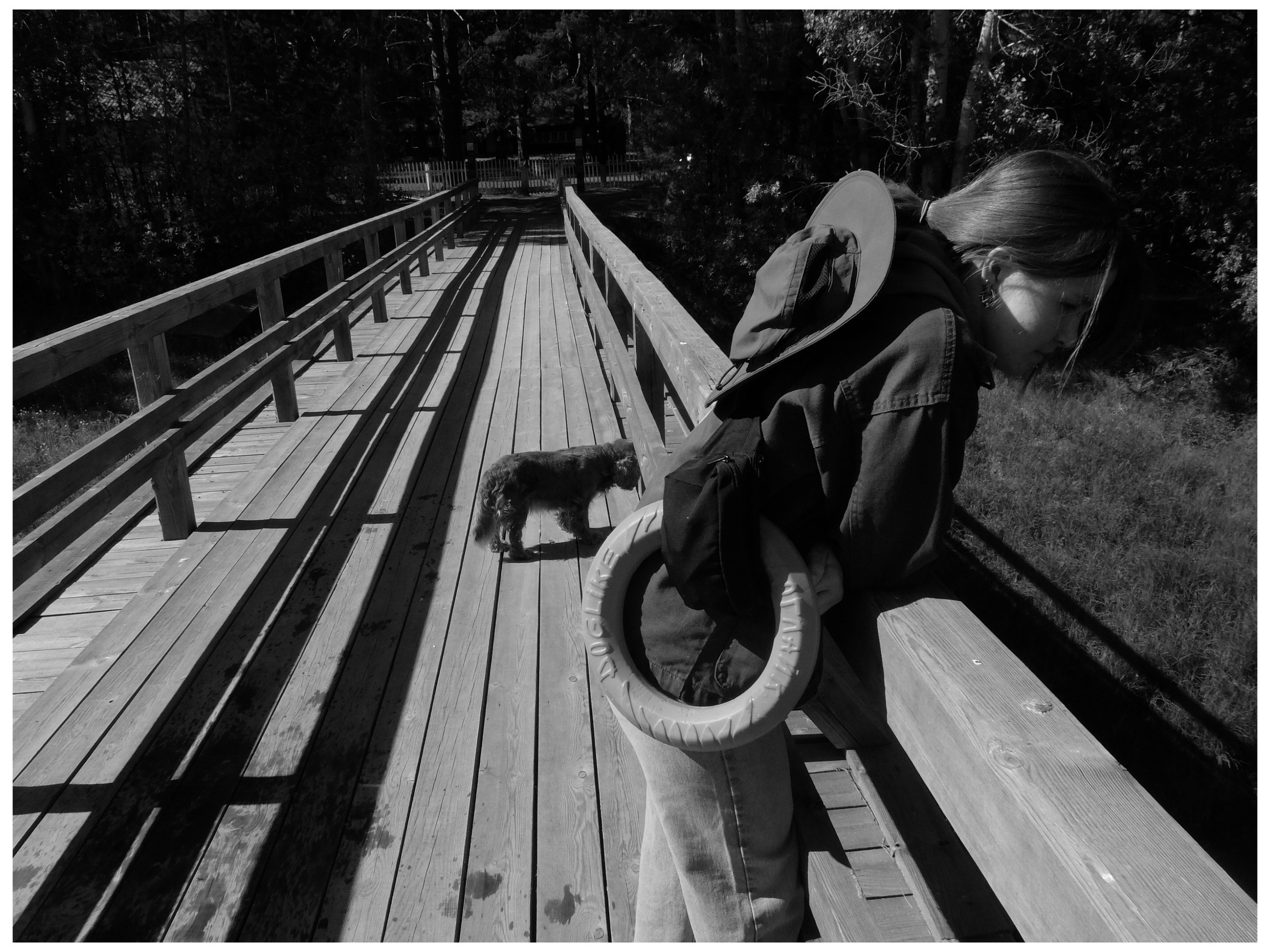 Промежуточные моменты (2022)