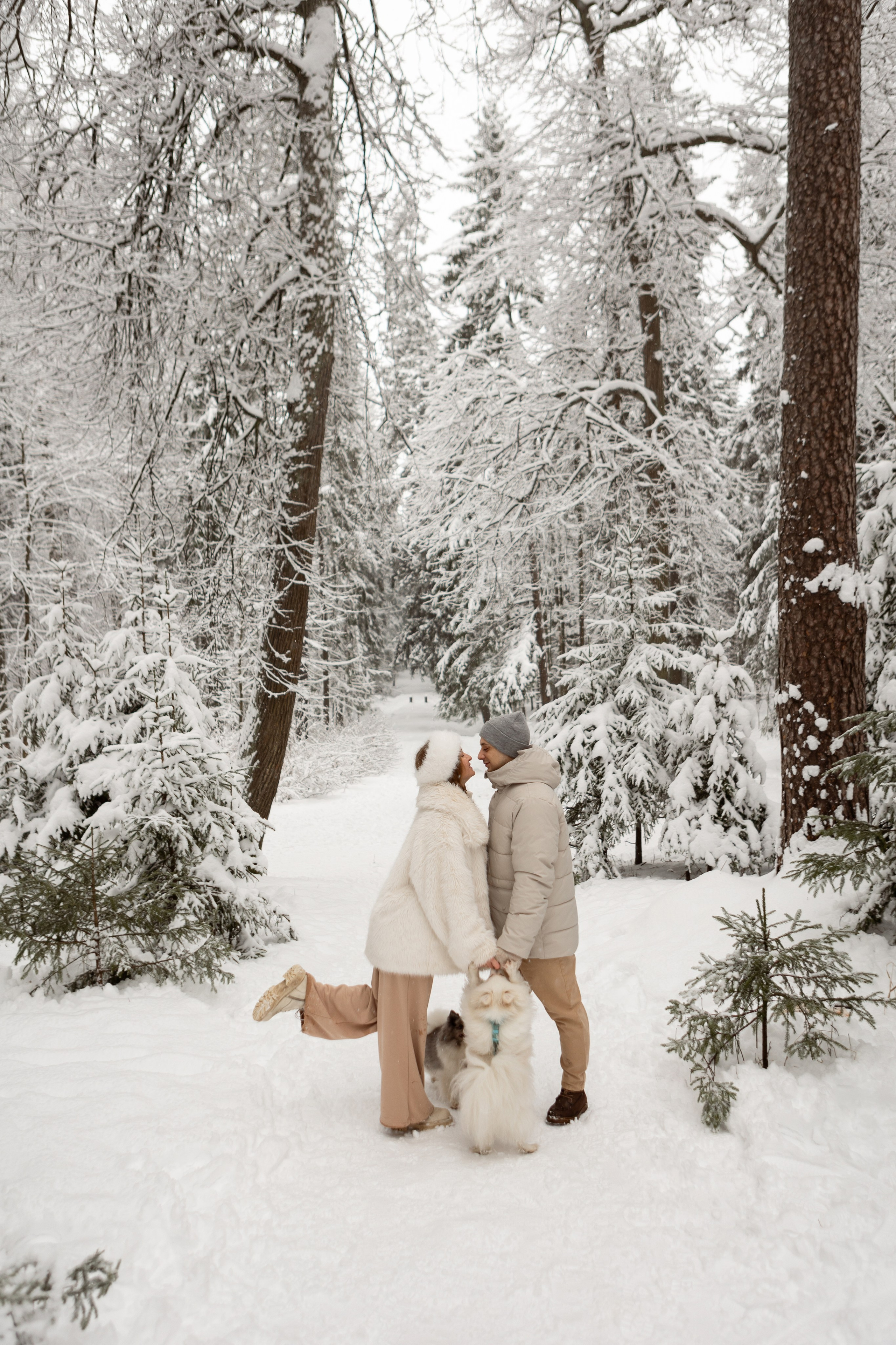 Новогодняя фотосессия с собачками в шуваловском парке. Свадебный фотограф в СПБ | Санкт-Петербурге Анастасия Рахимгулова