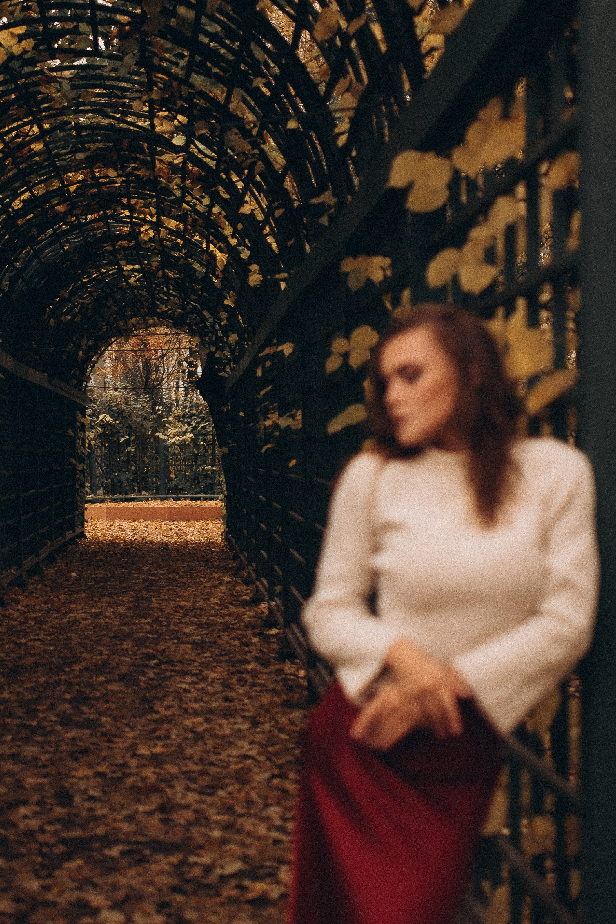 Осенняя индивидуальная фотопрогулка летний сад. Фотограф ПИТЕР СПБ Надежда Баранова