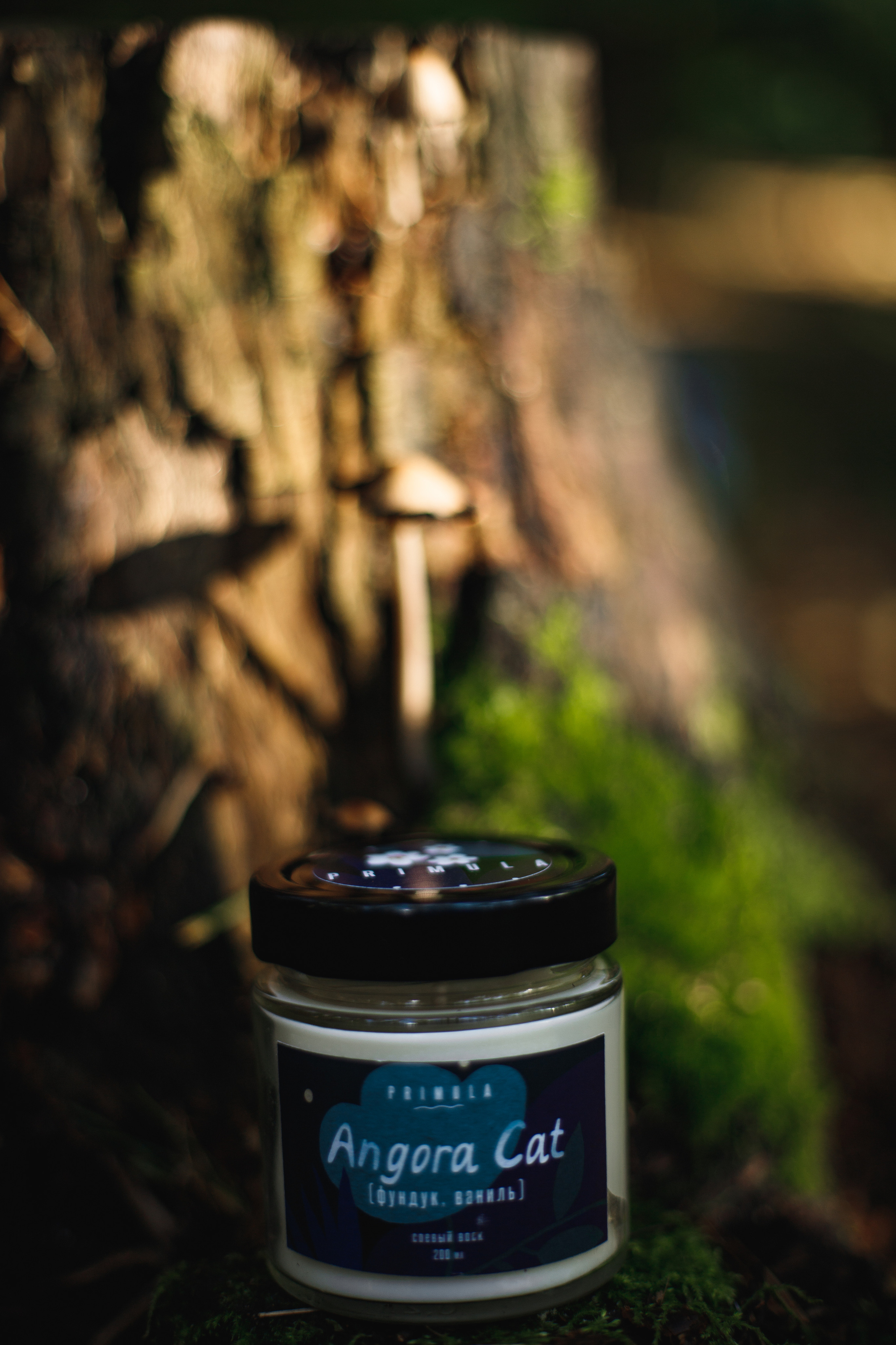 Контент. Фотограф в Санкт-Петербурге Ольга Староверова