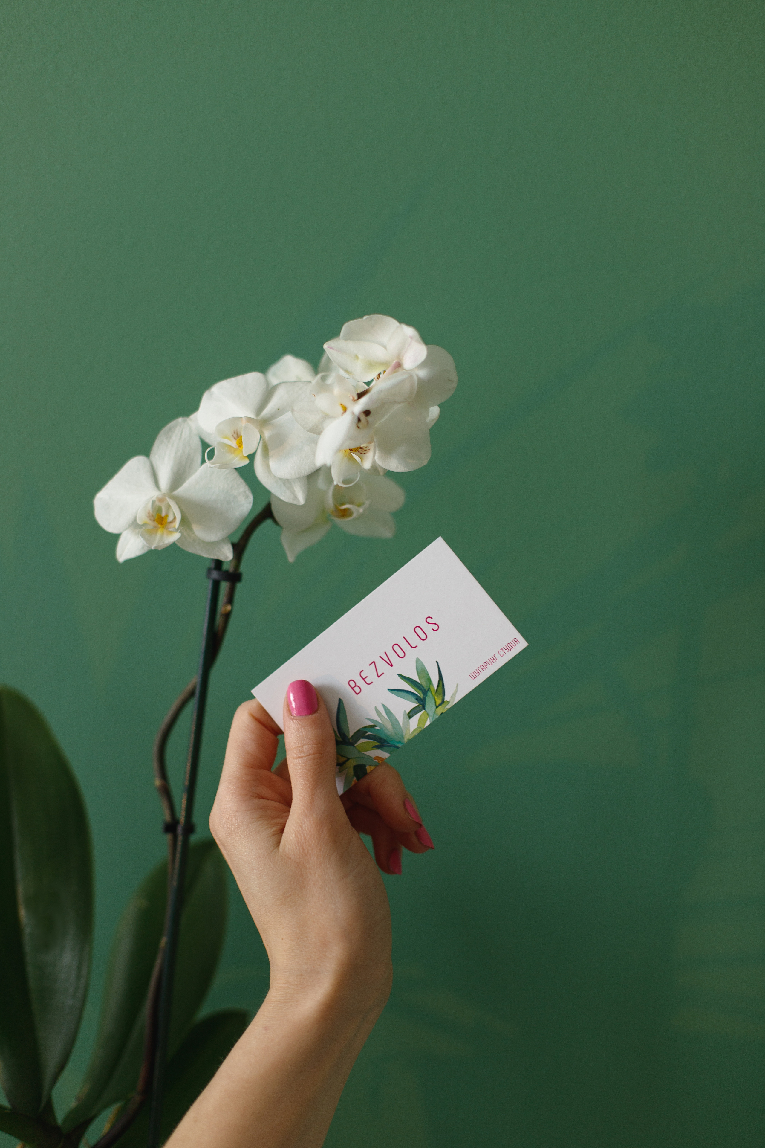 Контент. Фотограф в Санкт-Петербурге Ольга Староверова