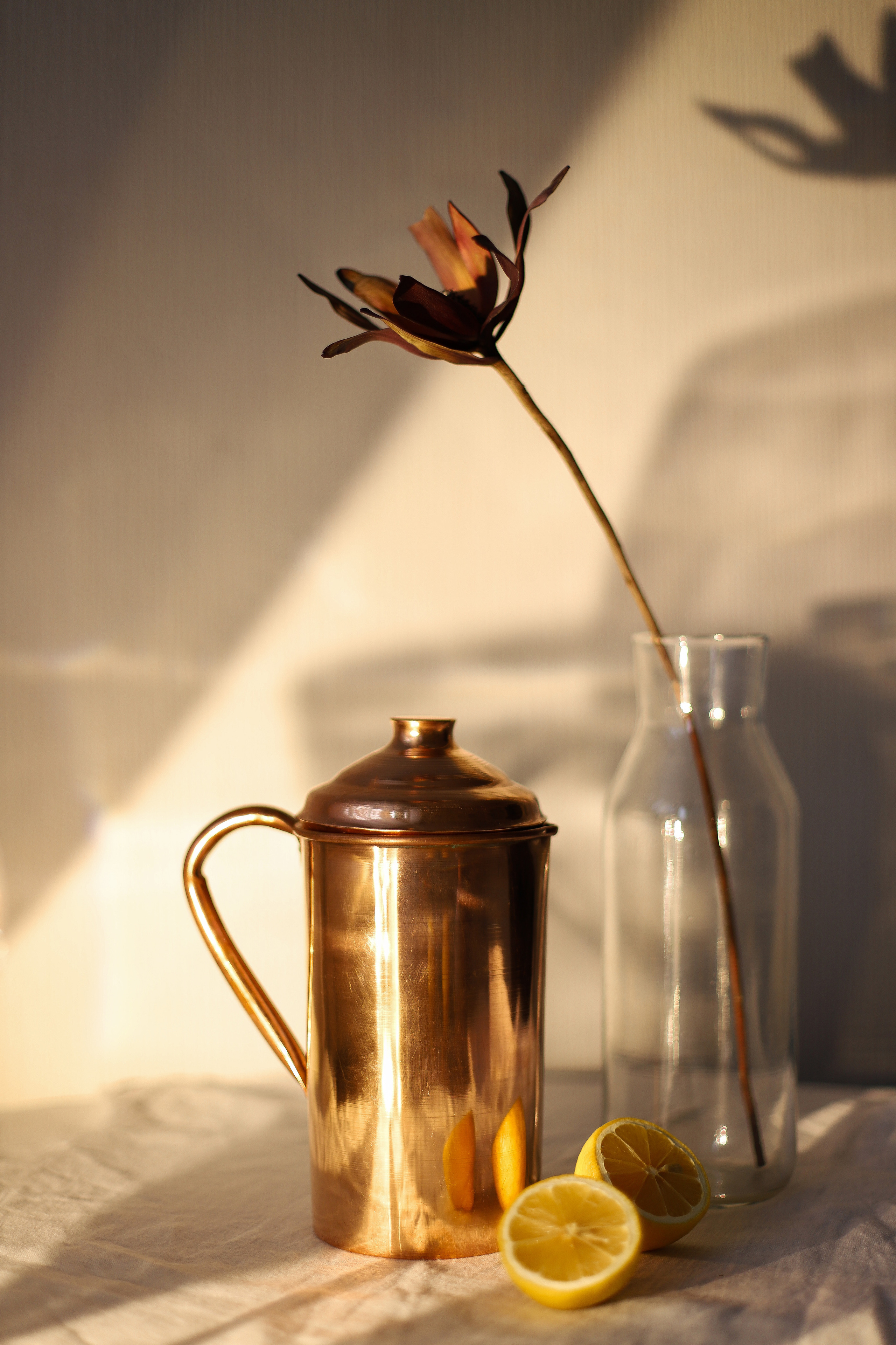 Контент. Фотограф в Санкт-Петербурге Ольга Староверова