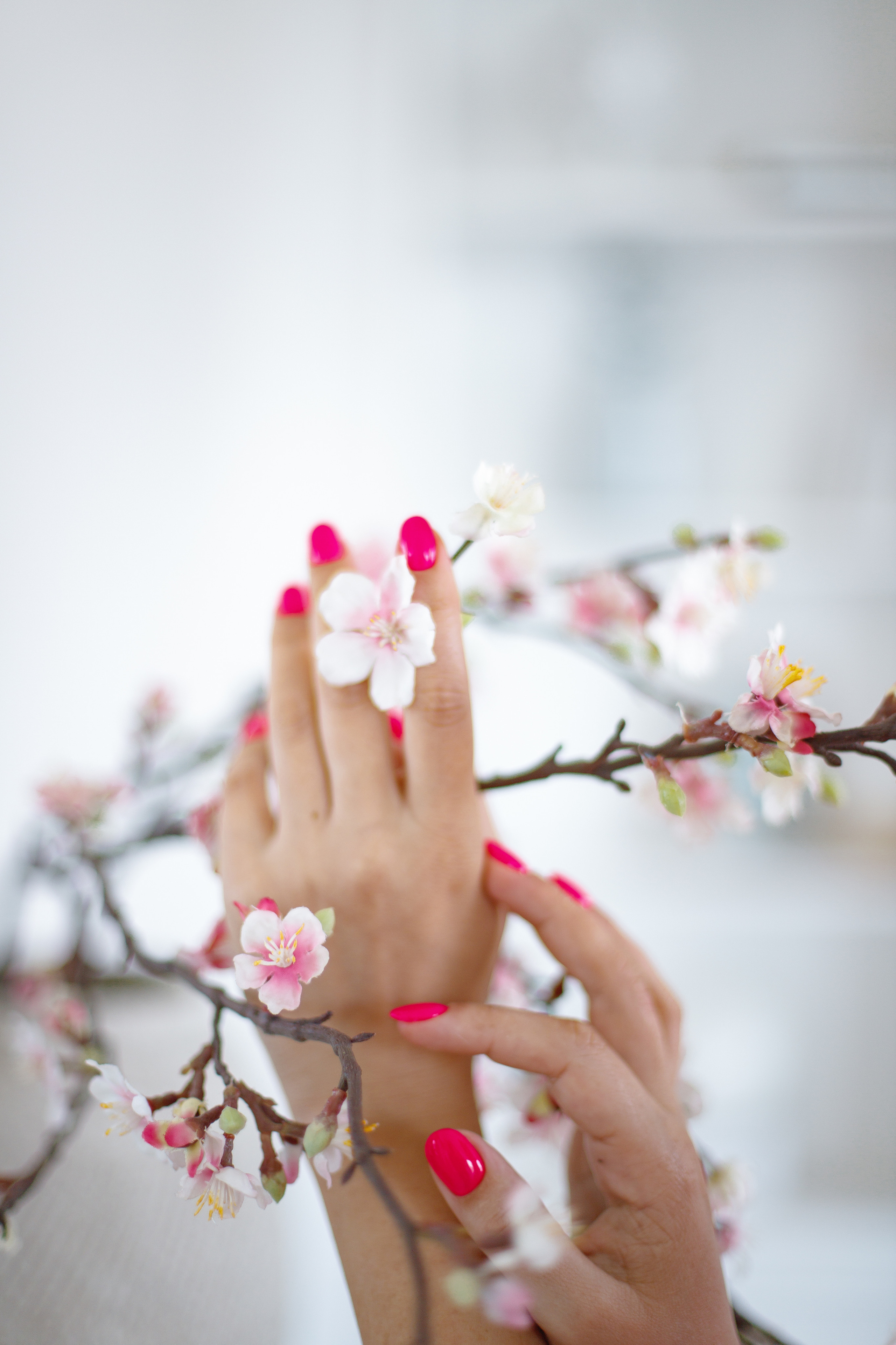 Контент. Фотограф в Санкт-Петербурге Ольга Староверова