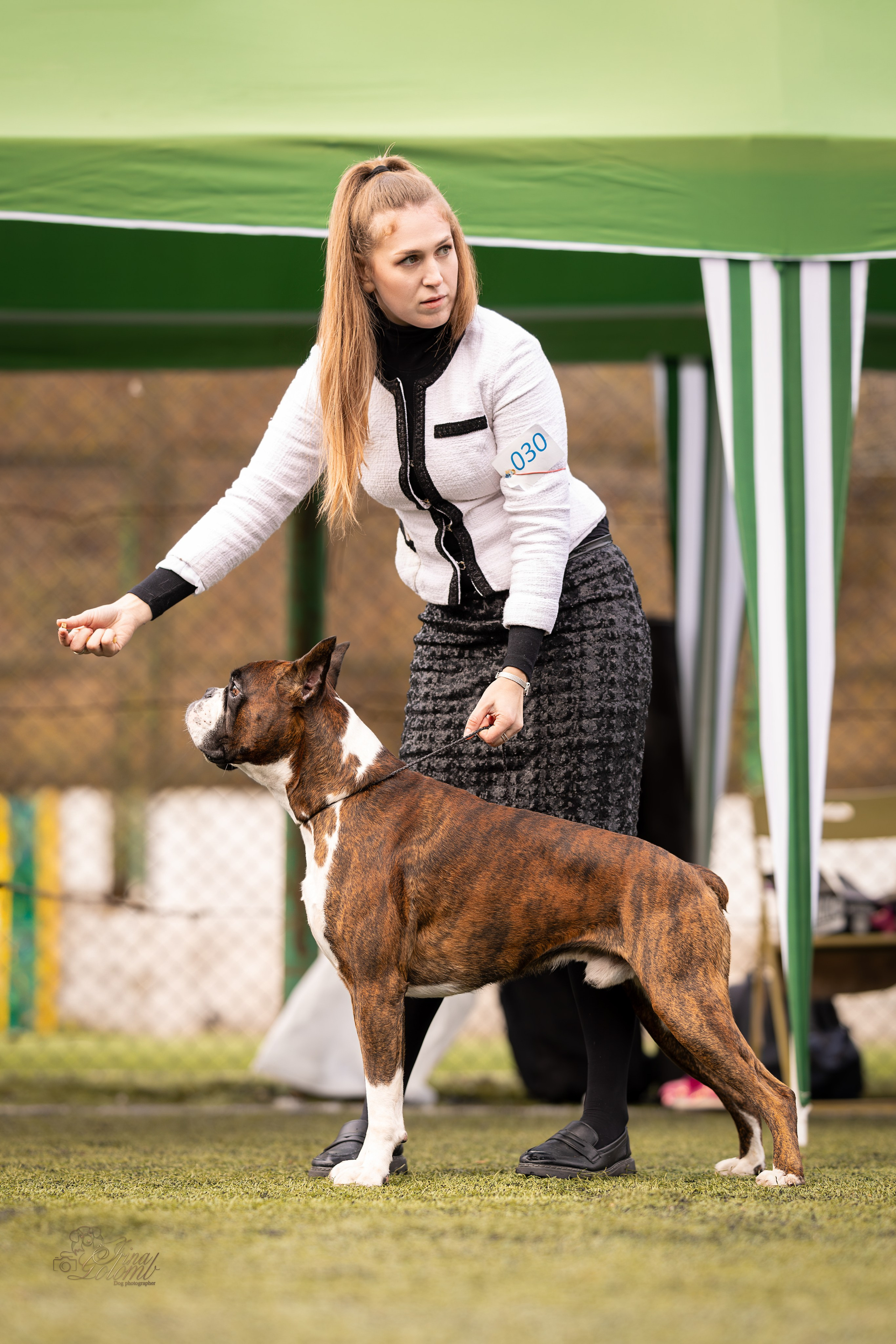 Выставка 17.12.23. Ирина Голомб|Фотограф-анималист в  Сочи и Калининграде
