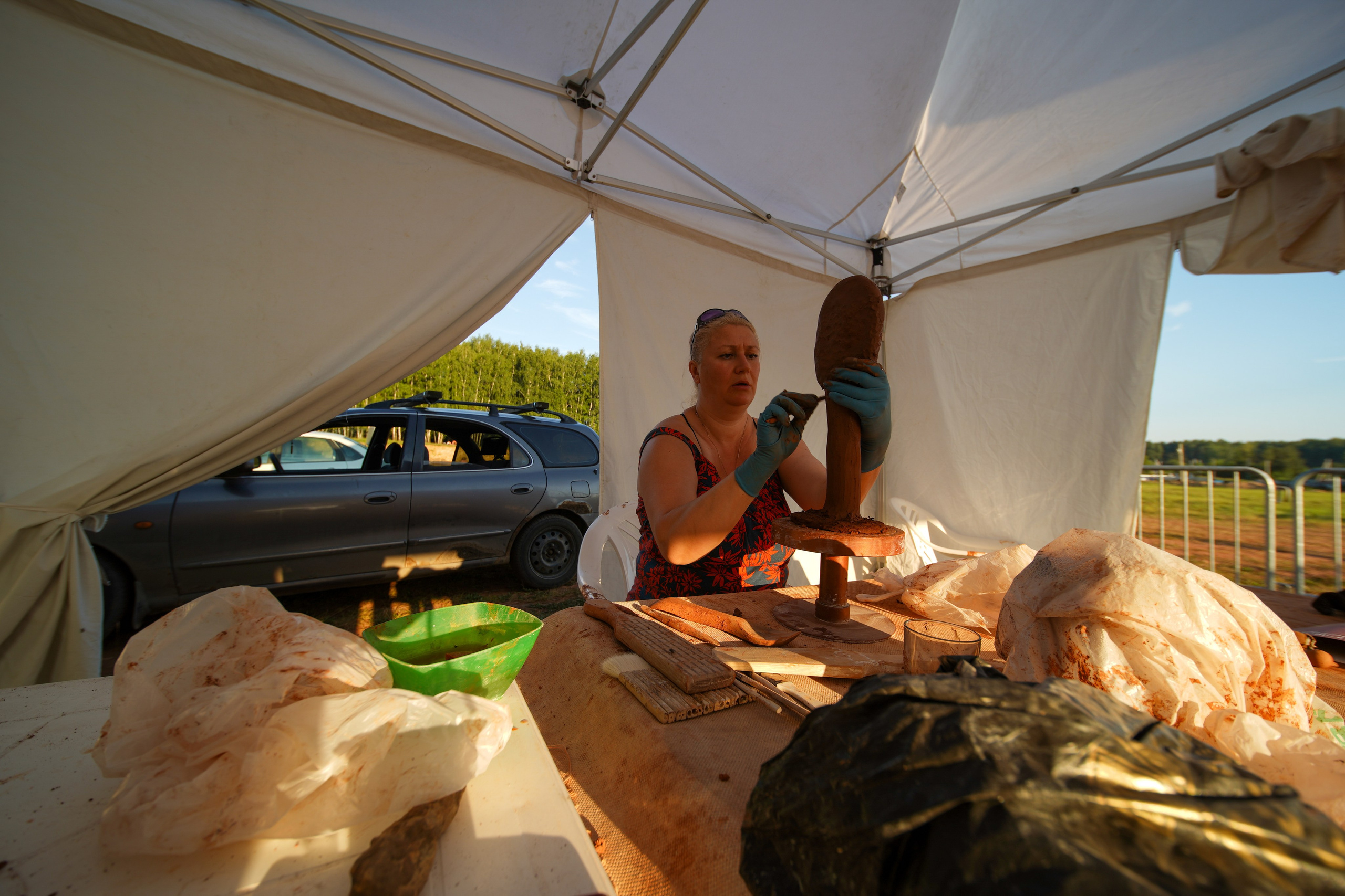 Wild fire 2024 — Дикий огонь 2024