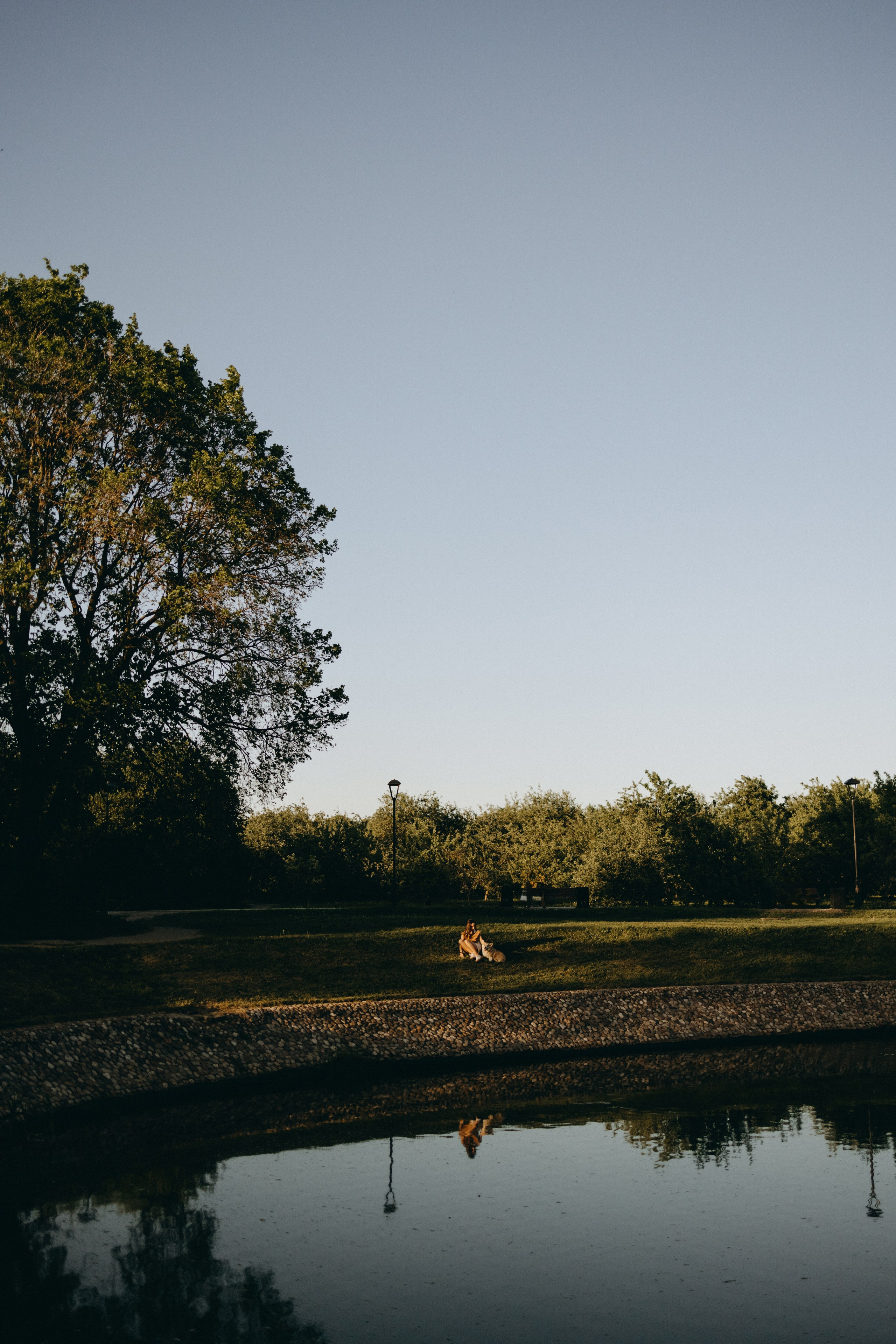 Кристина и Шелби. Фотограф — Анималист | Санкт-Петербург