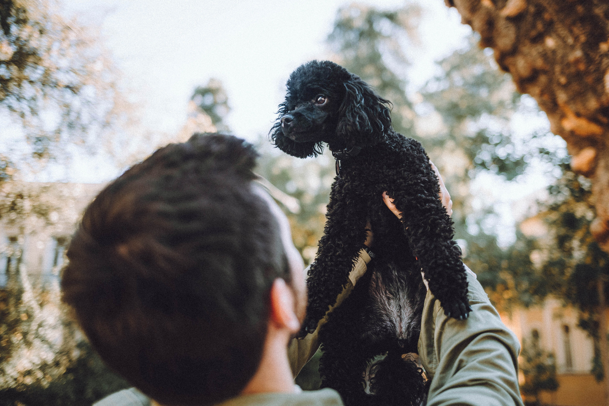 Игнат, Даша и Бэтти