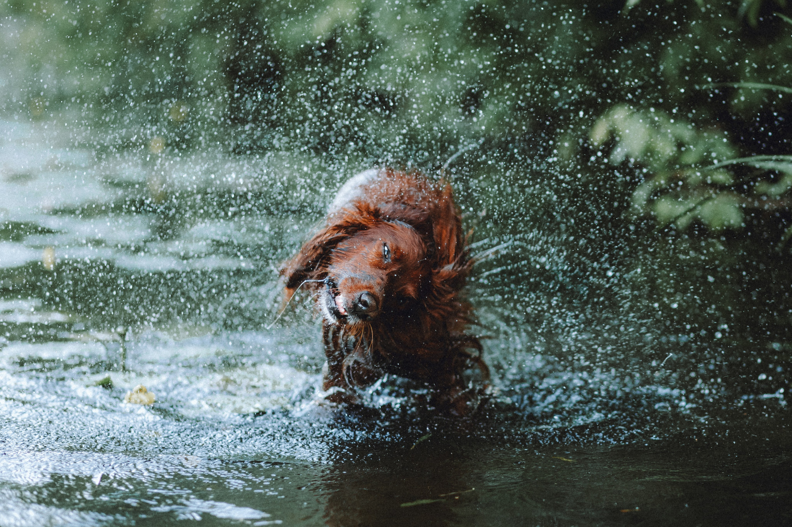 Маша и Джерри