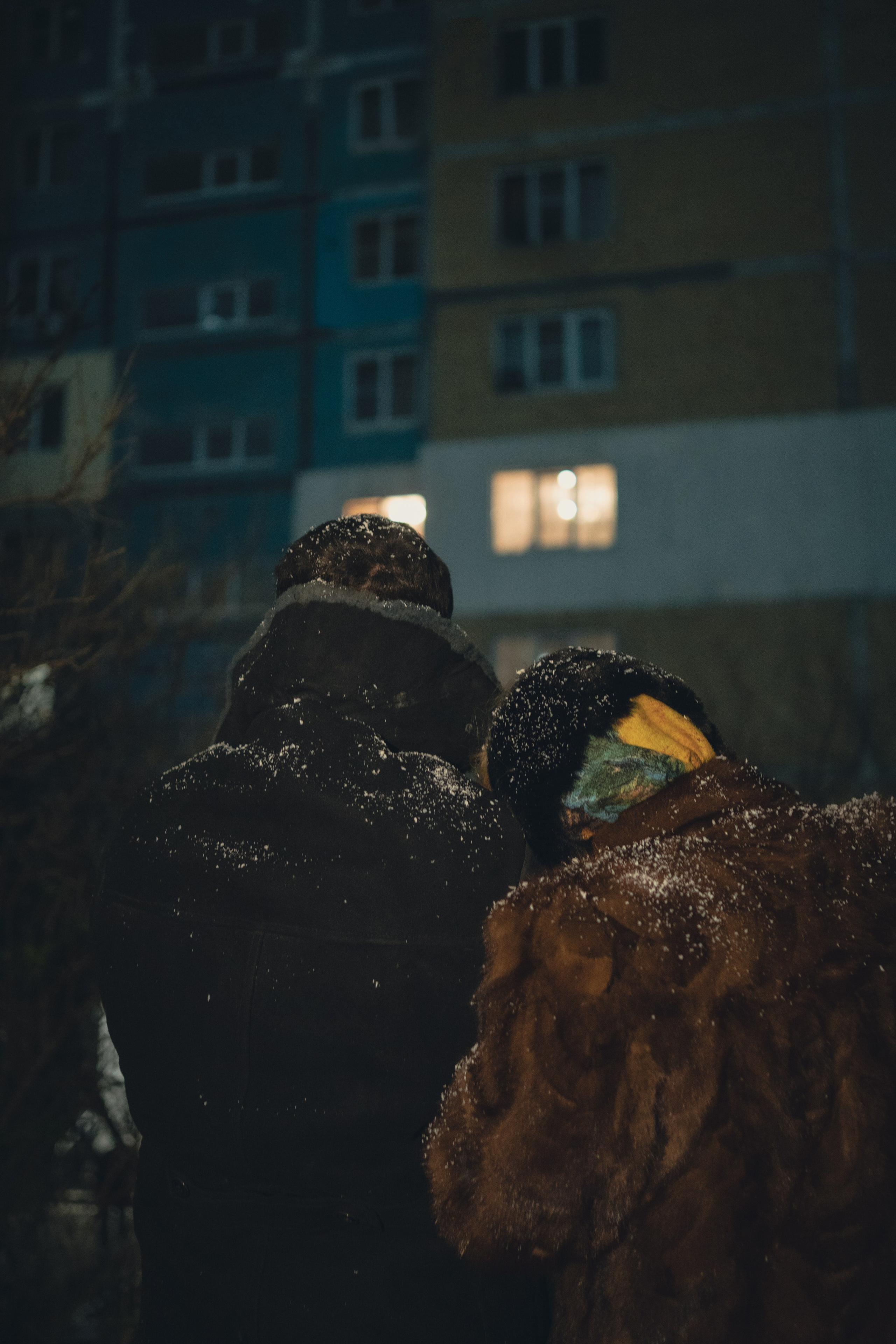 Новогодние. Елена Луковская. Семейная, портретная, репоражная съёмка