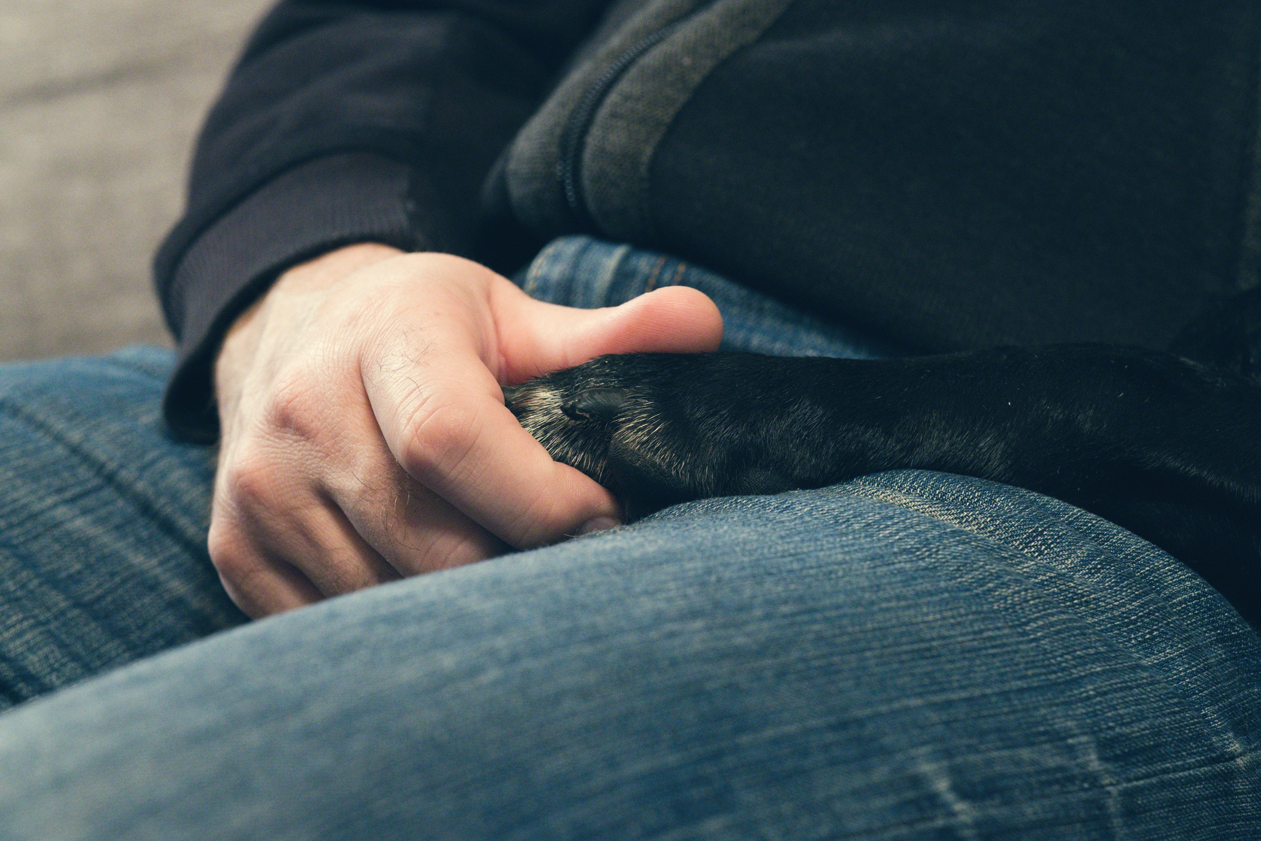 Чина и её люди. Дмитрий Бречалов