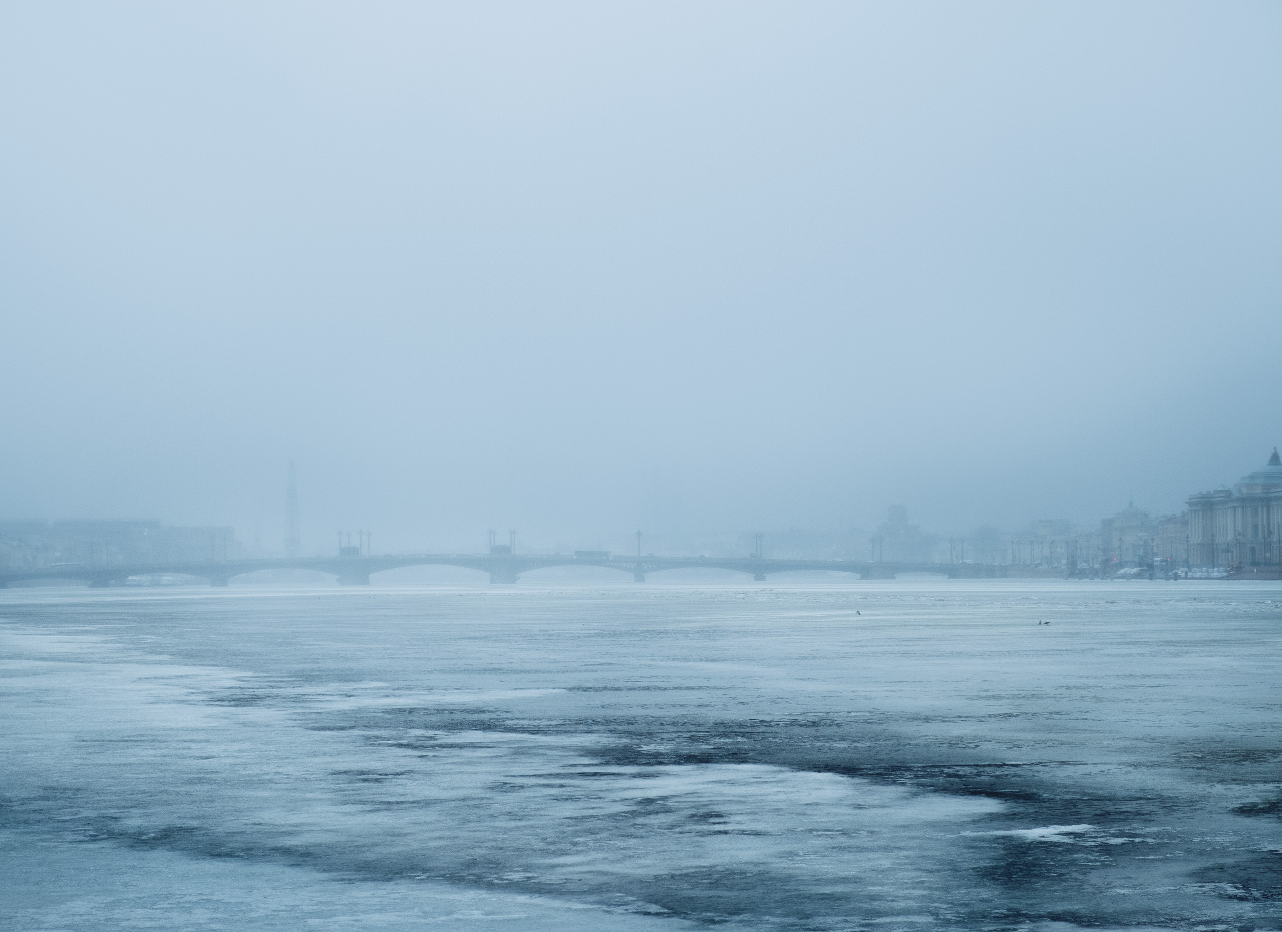 Parade spb. Коллекция