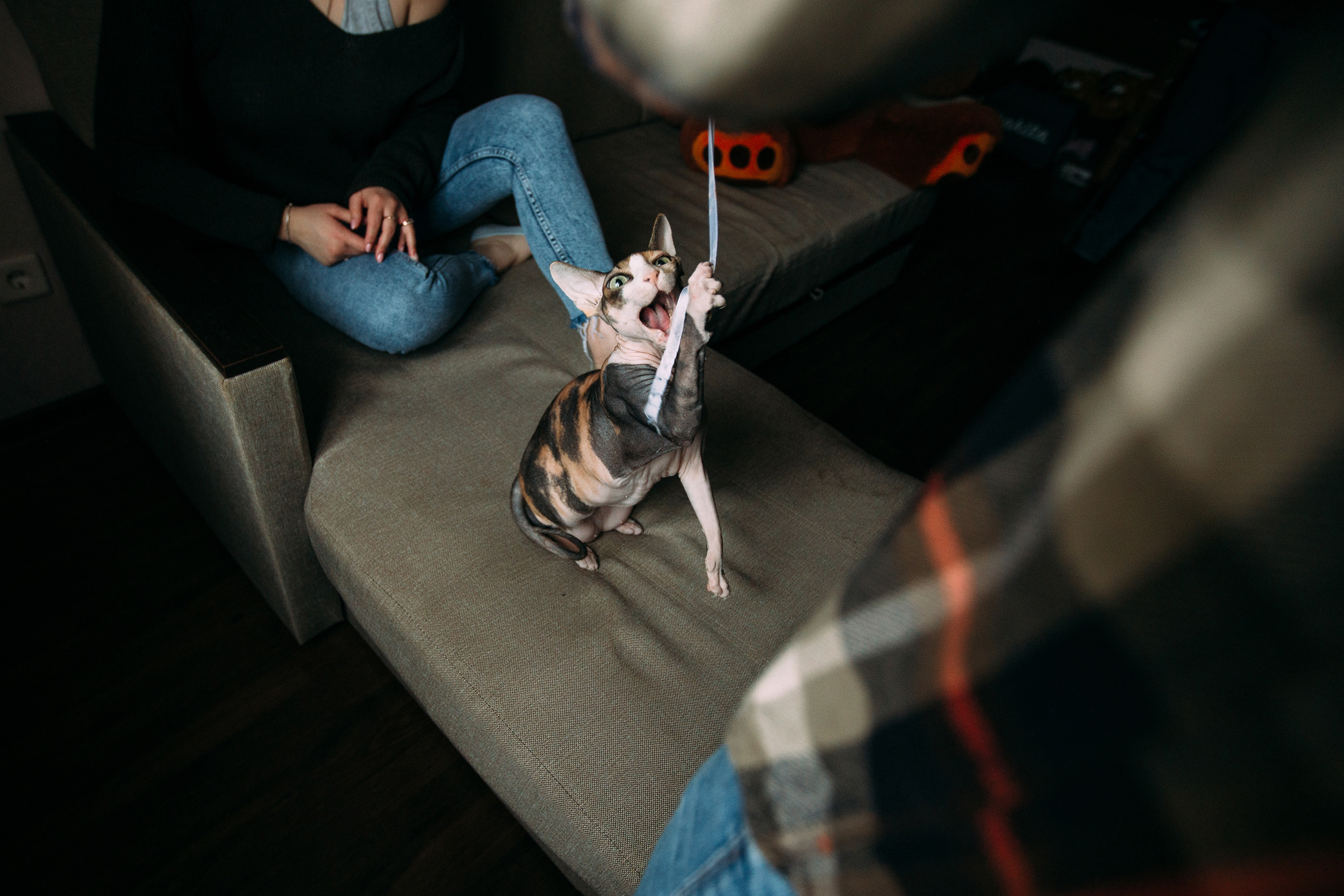 Саша Настя Добби. Свадебный и семейный фотограф в Твери, Москве, Санкт-Петербурге