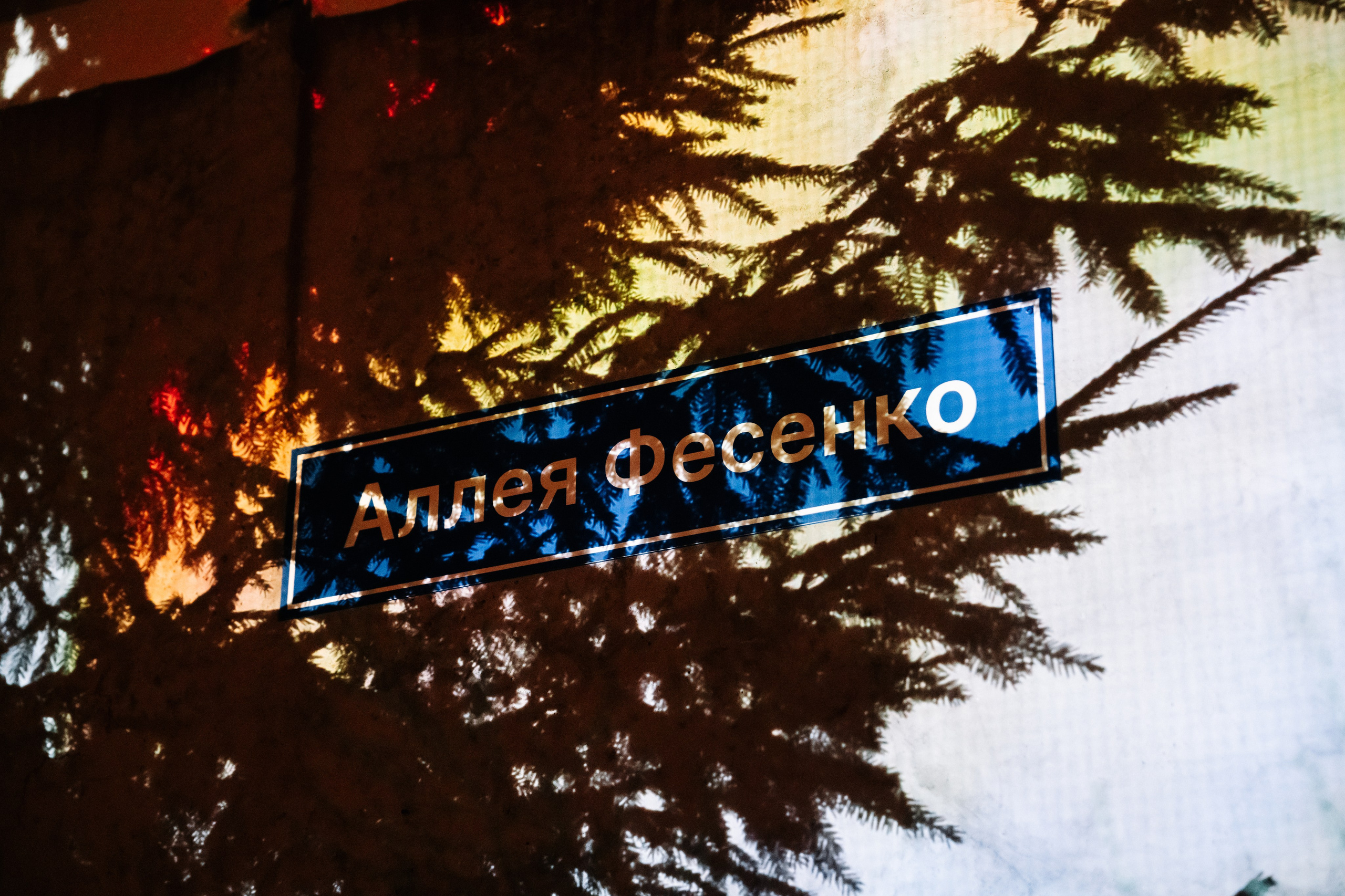 Outline 2024. @tomrus: Рустам Шагиморданов — фотограф