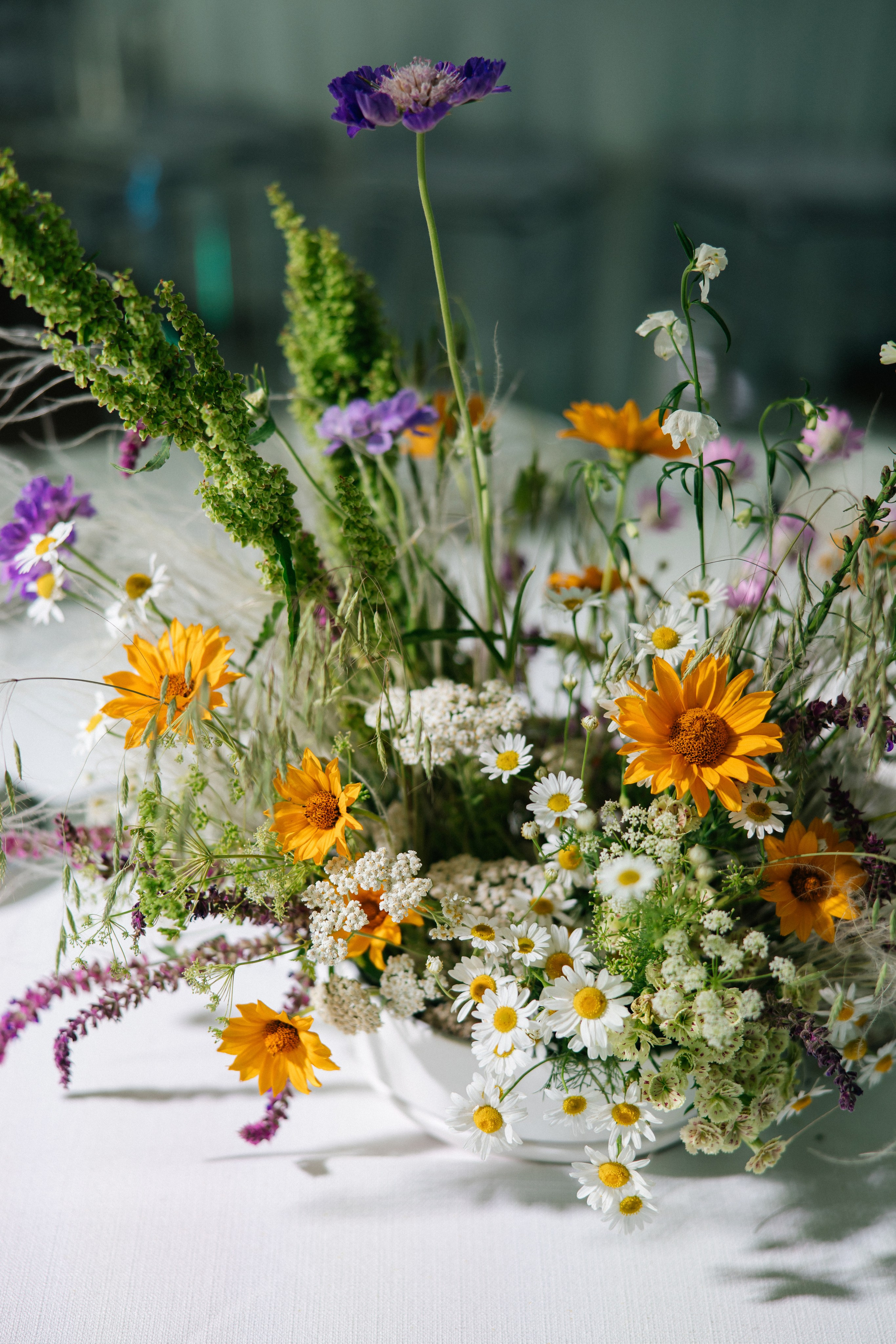 Tamika & Ludvig. Zhandos Berikov