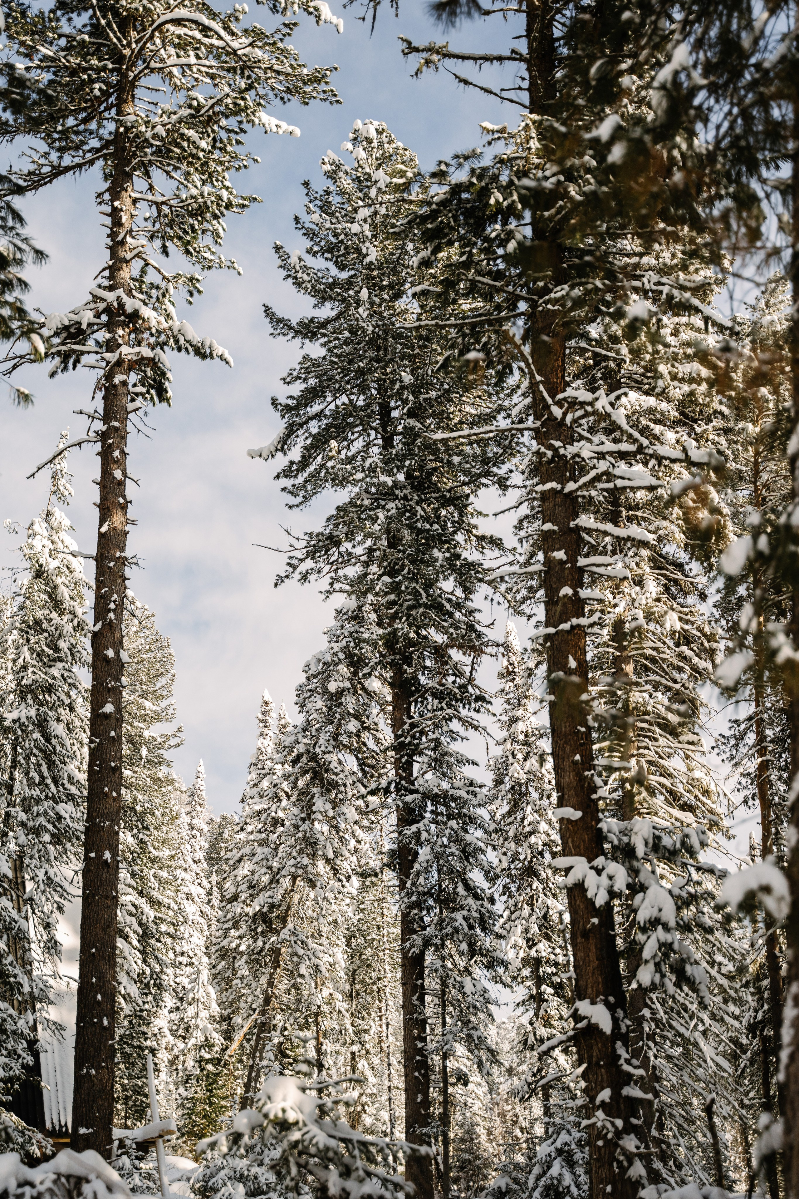 Гостевой дом София. Фотограф Ольга Пучкова