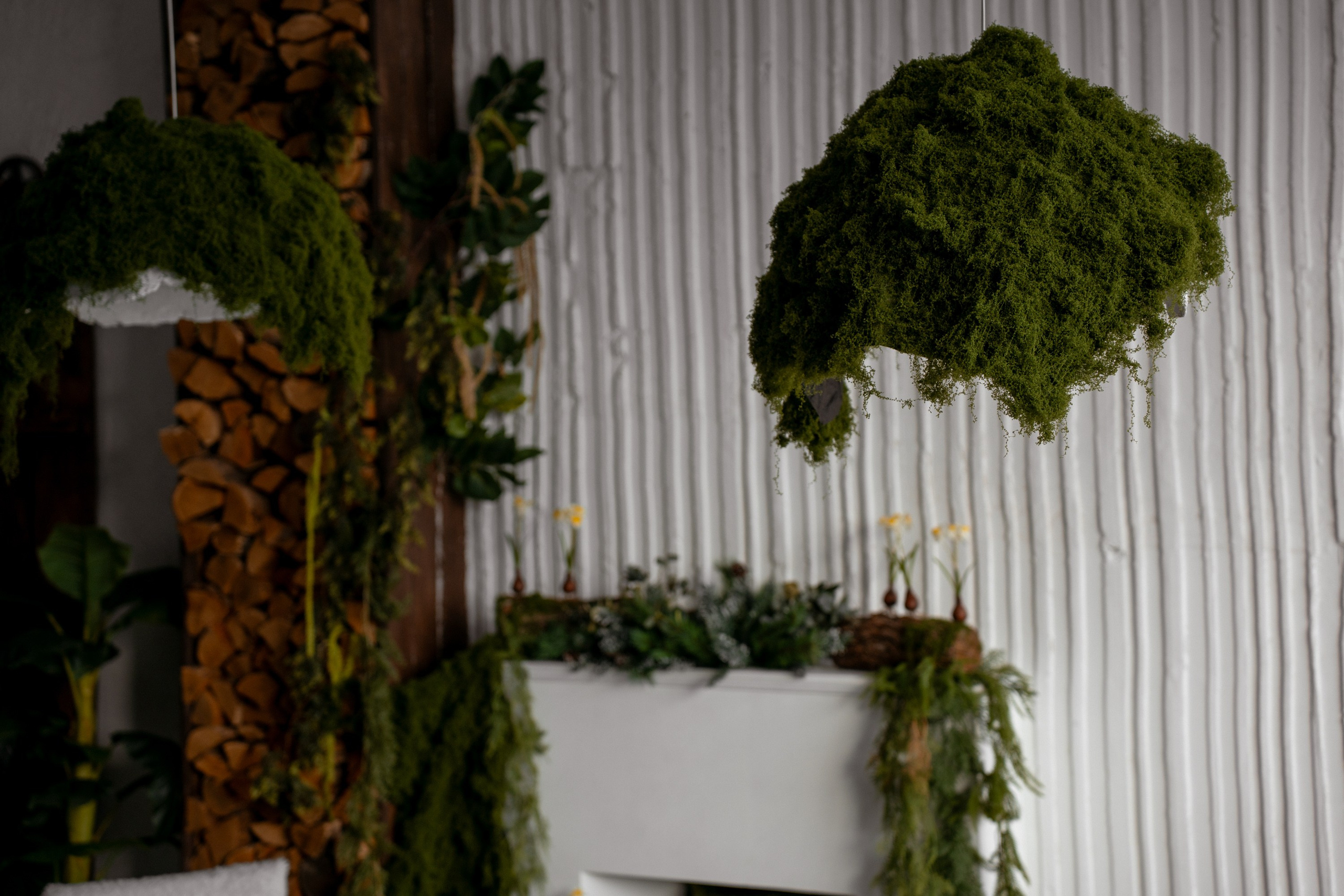 Фотостудия AlexCam | Фотостудии Саратова