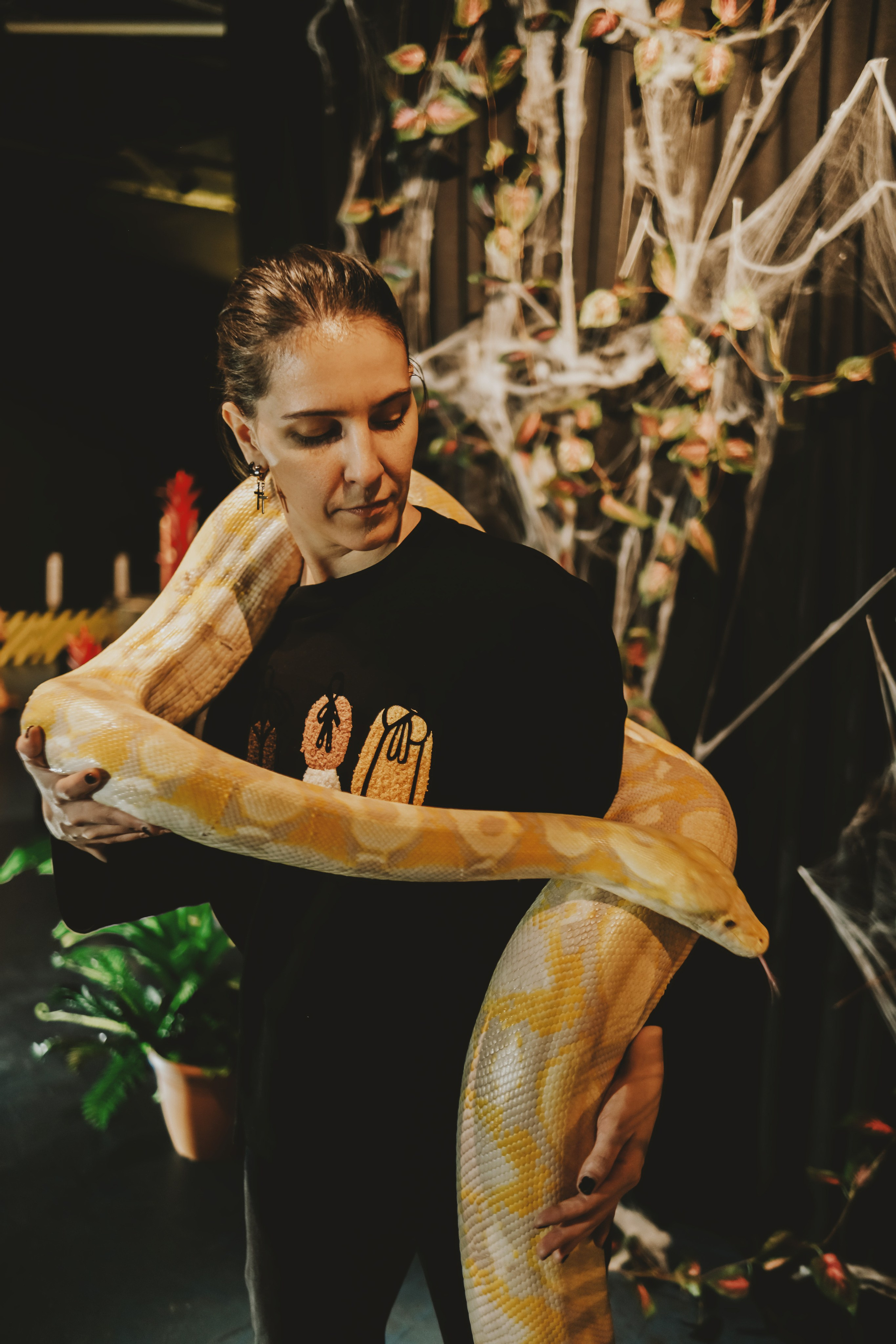 Дом Драконов. Nattie.ph