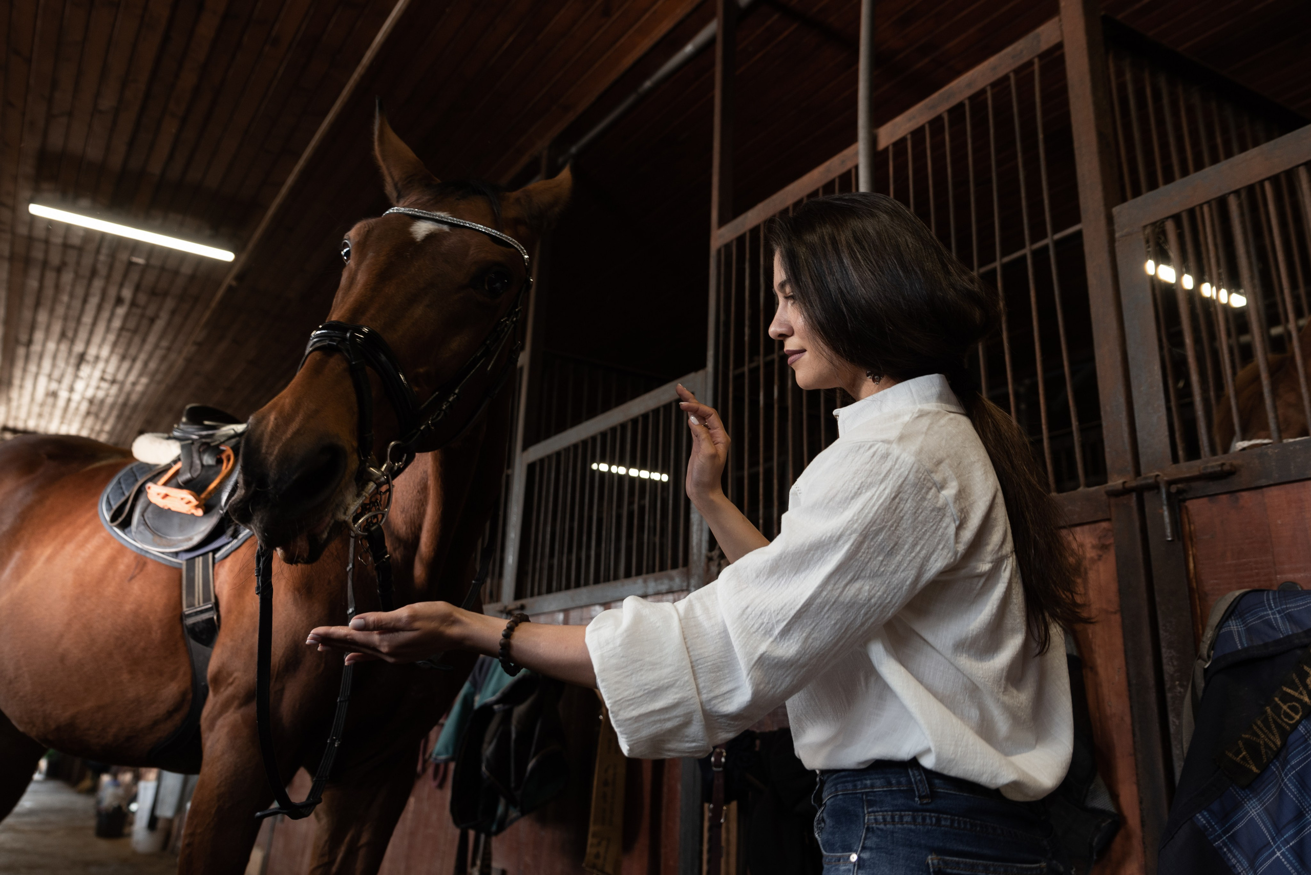 Кристина и конь Неон. Фотограф в Санкт-Петербурге Виктор Кудряшов