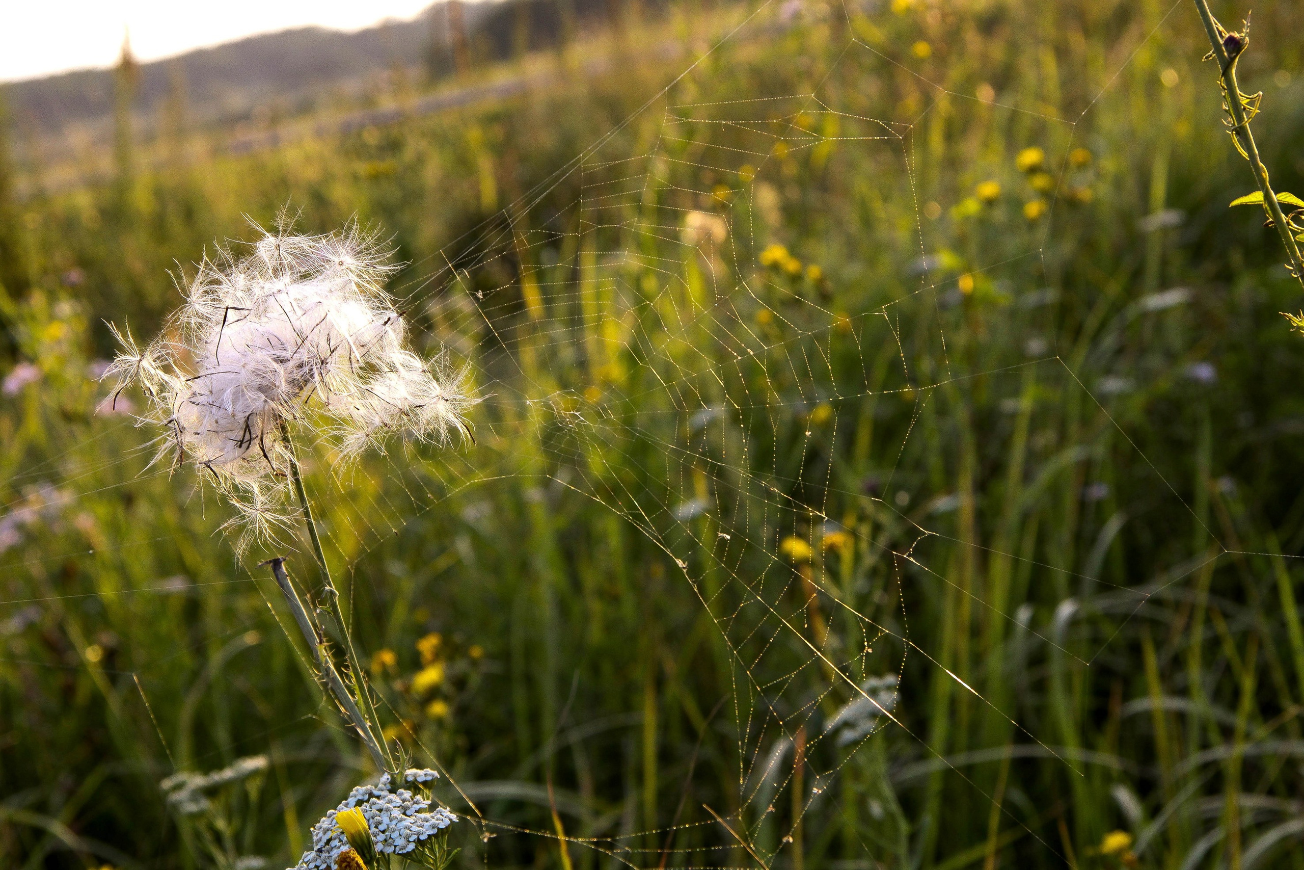 Природа. Команда фотографов Кристины Ивановой