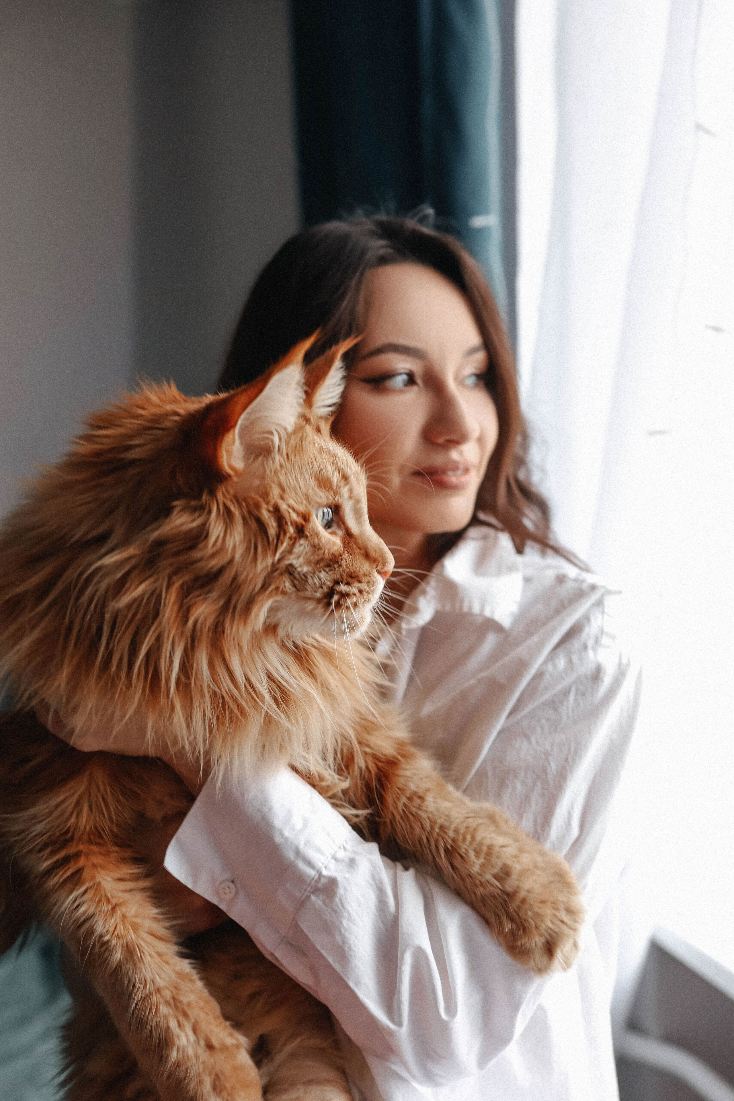 Домашняя фотосессия. Свадебный и семейный фотограф в Москве