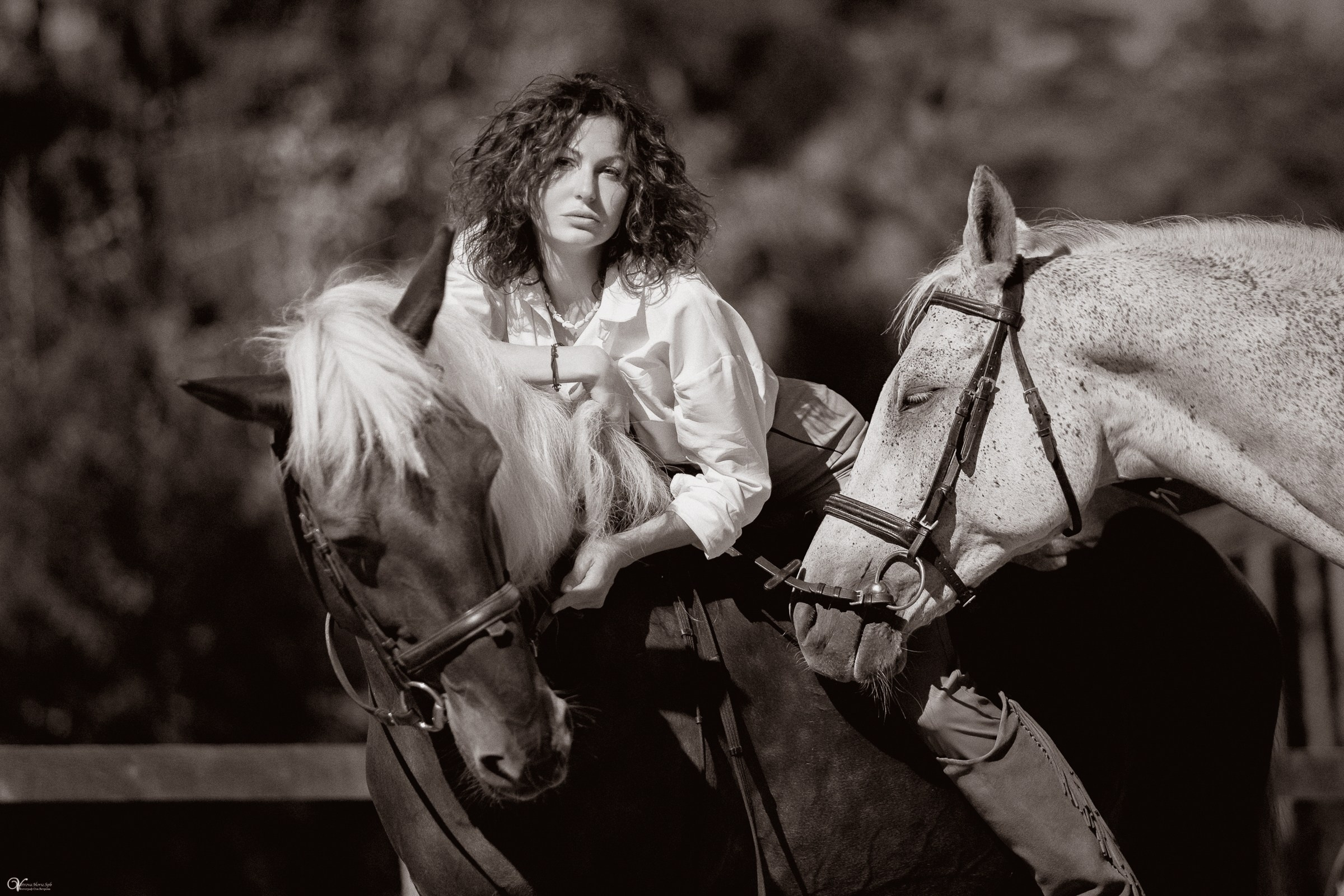 Фотосессия с лошадьми в катри-стиле. Фотограф женский и мужской портрет Санкт-Петербург