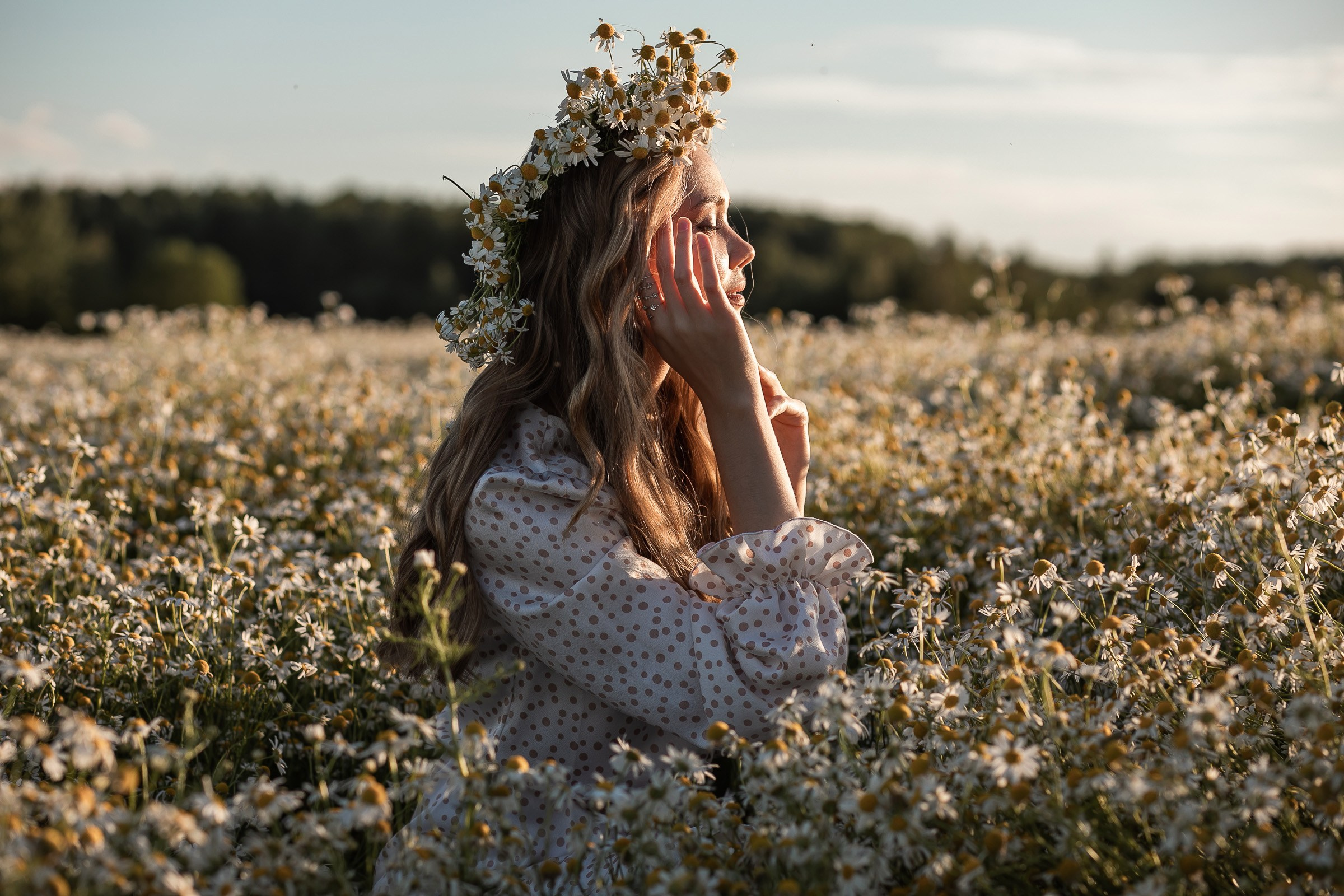 Алена. Фотодень в ромашках. Свадебный и семейный фотограф в Колпино и СПб Юлия Папанова