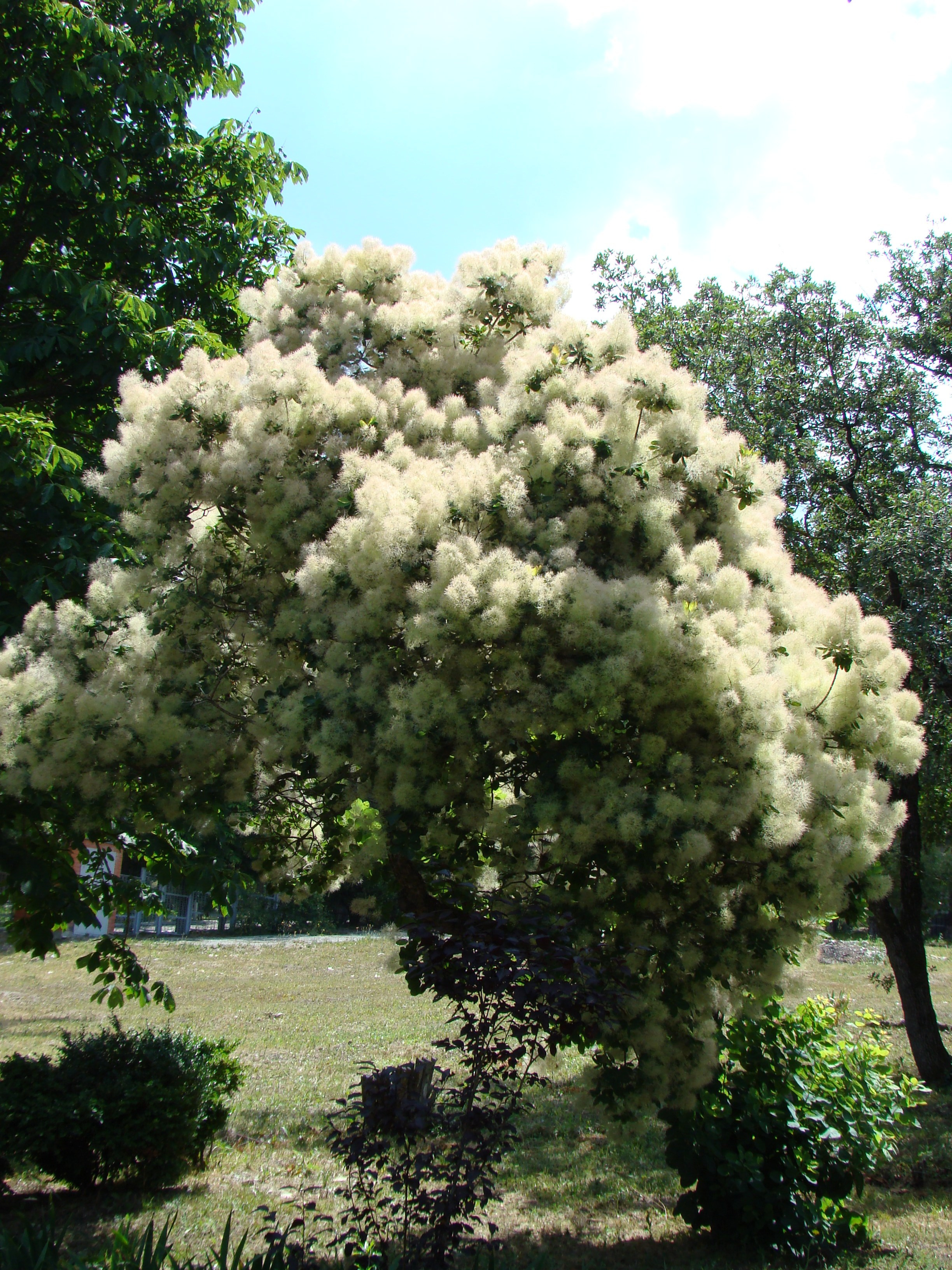 Кабардинка (фото Зевиных) 25.06-24.07.2008. Семейный, Свадебный фотограф СПБ Питер— Романова Екатерина