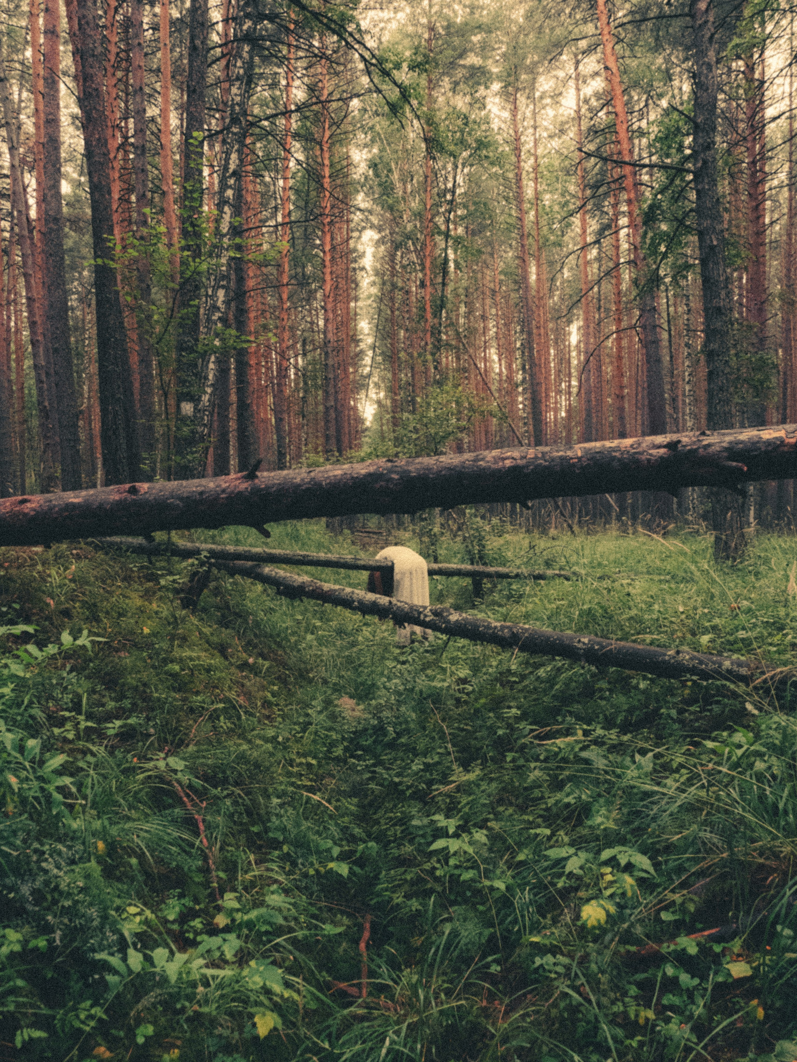 Фотограф урал