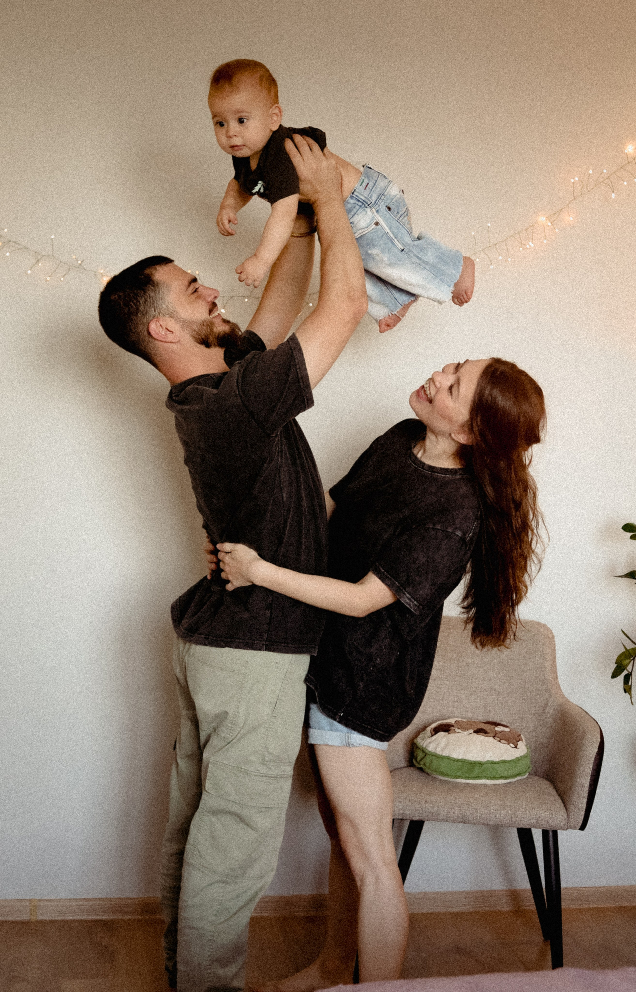 Домашняя история. Meryfotoidea