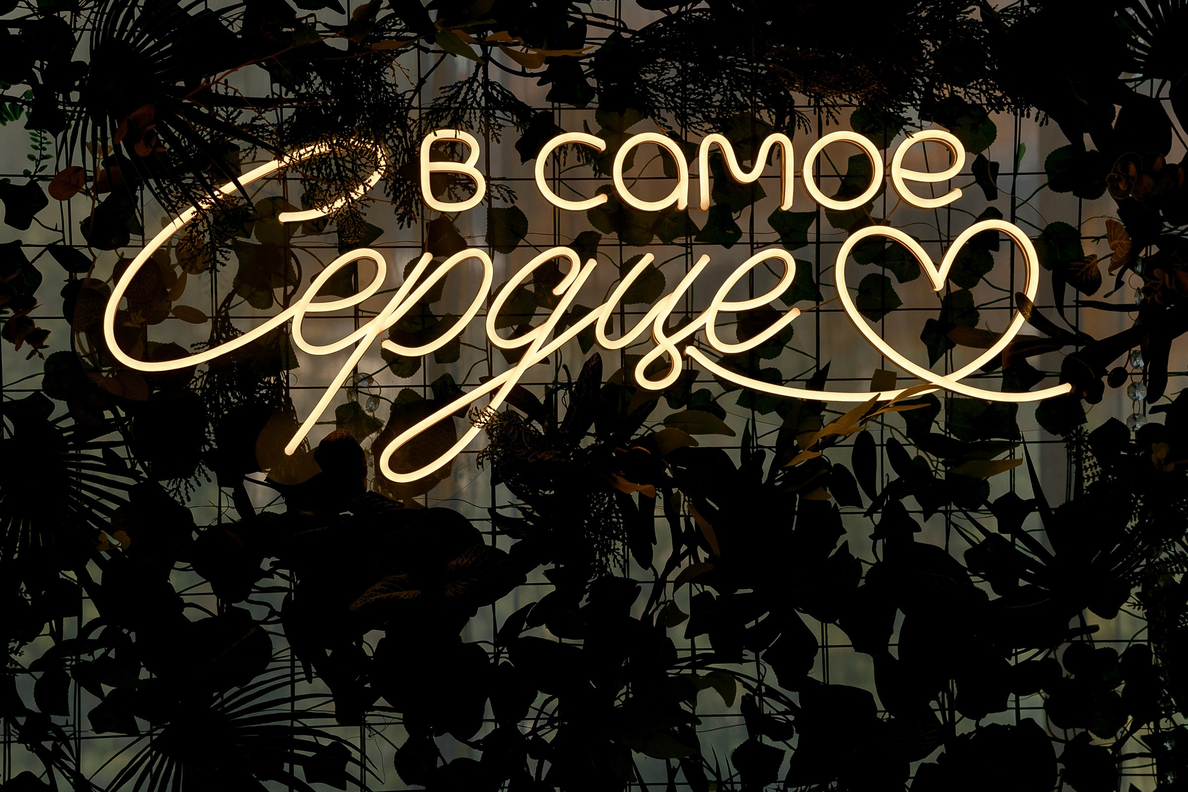 Николай & Александра. Свадебный и репортажный фотограф