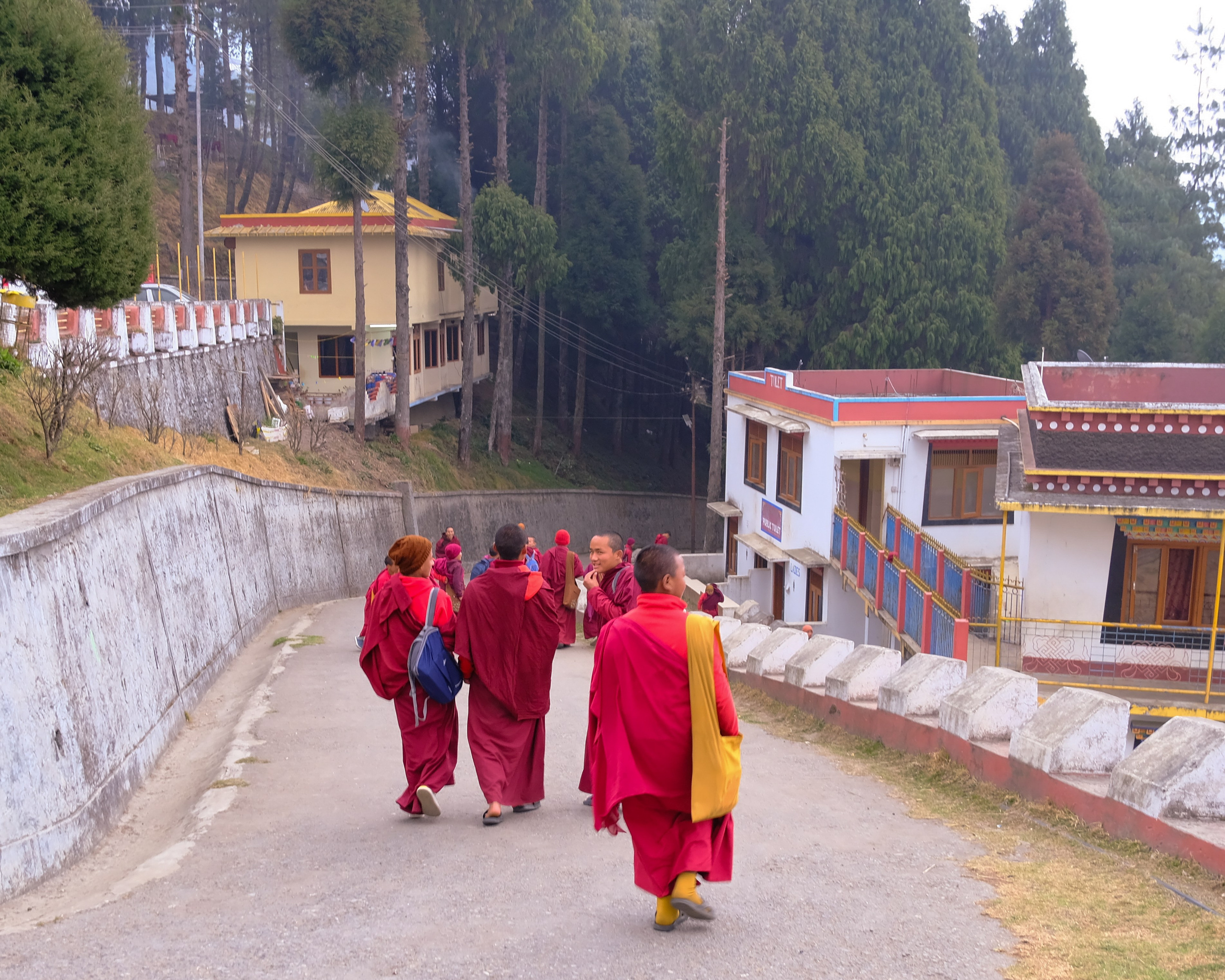 Индия штат Аруначал-Прадеш. Фотографии из путешествий