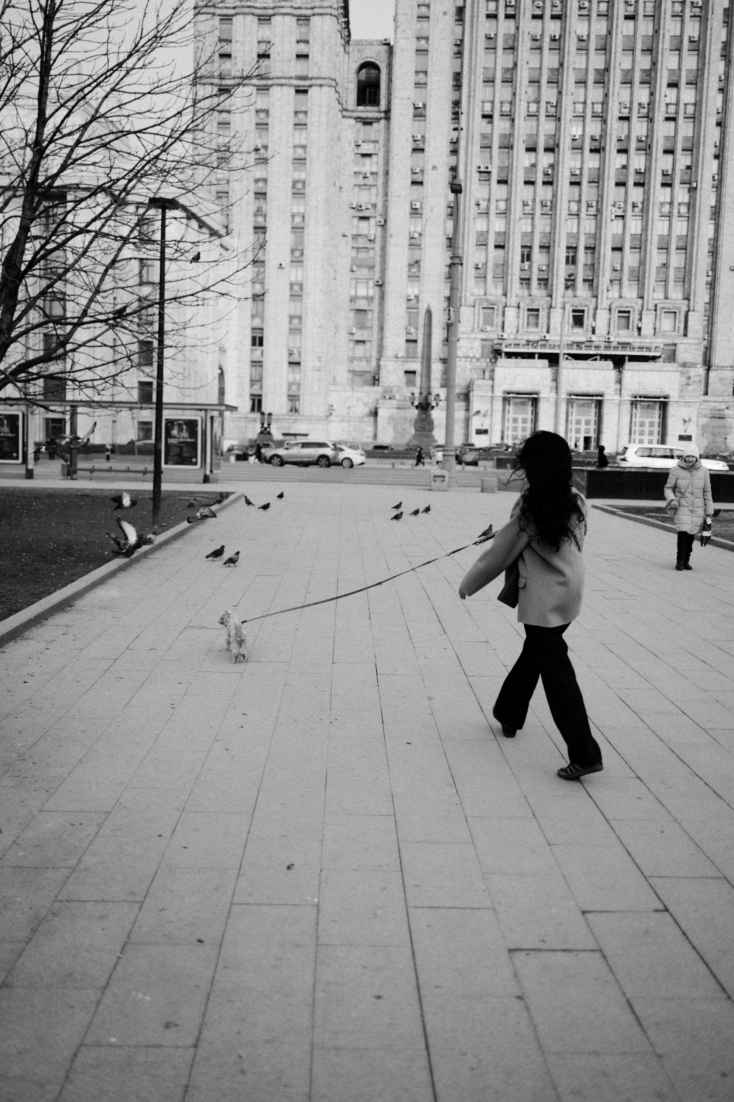 Маша, Лиза и Луна. Фотораф — анималист Мария Шистка