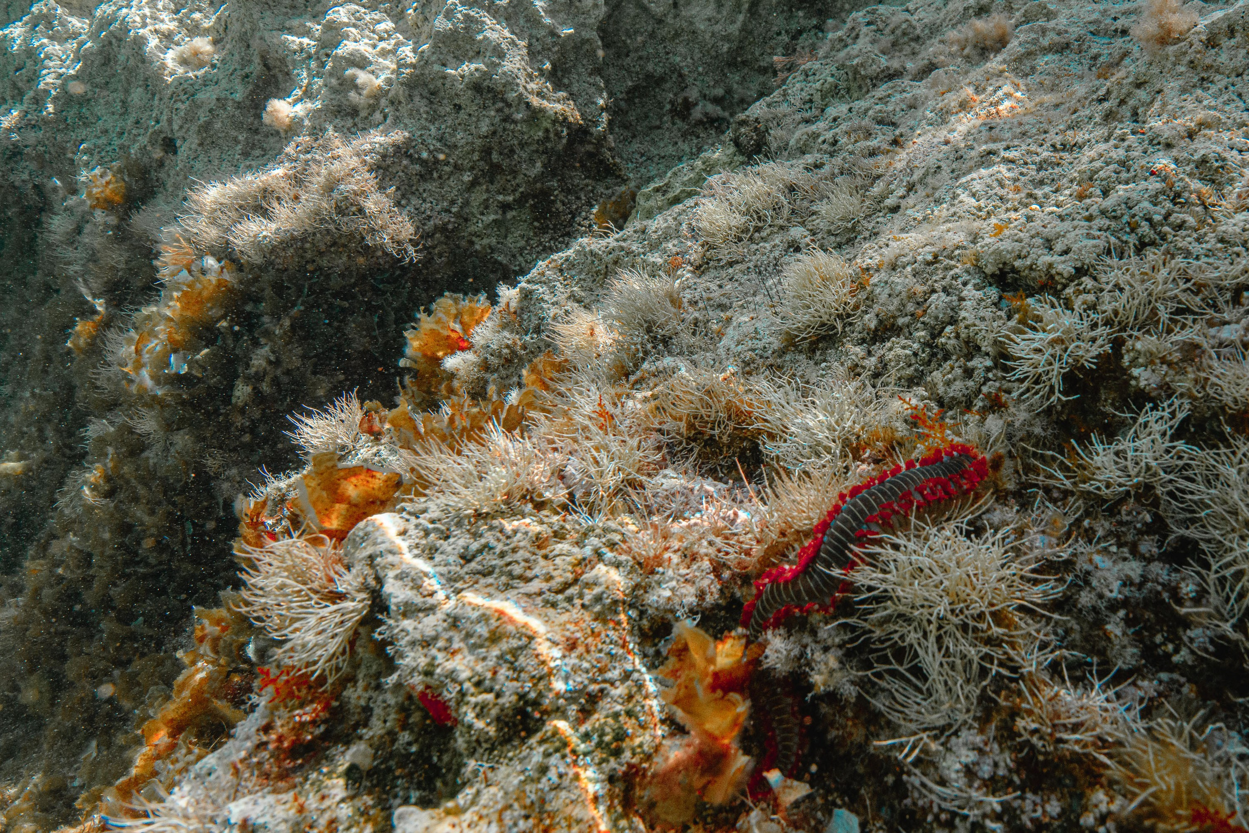 Турция яхтинг. Профессиональная фотосъемка. Ростов-на-Дону