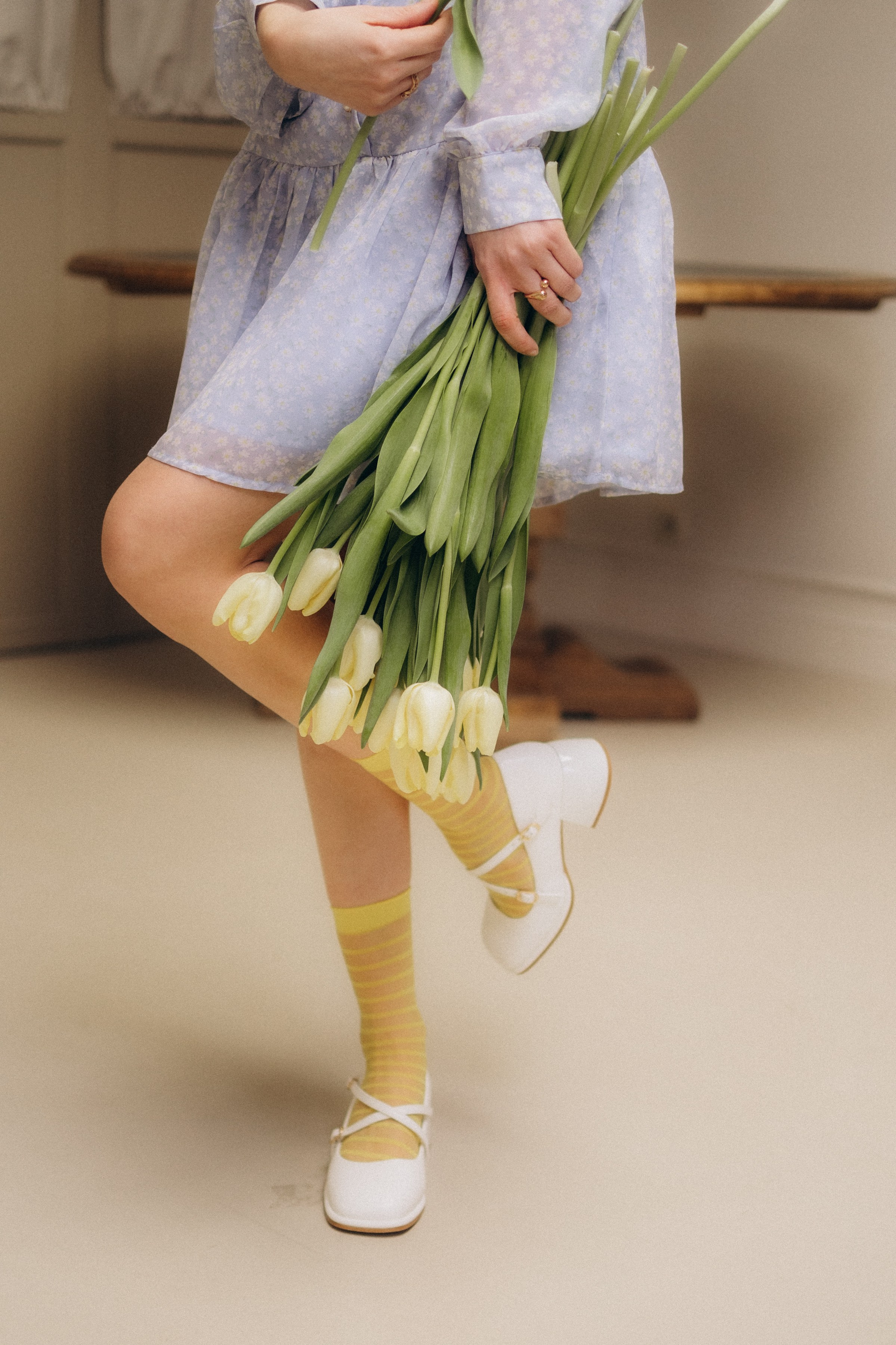 Тюльпаны. Главная