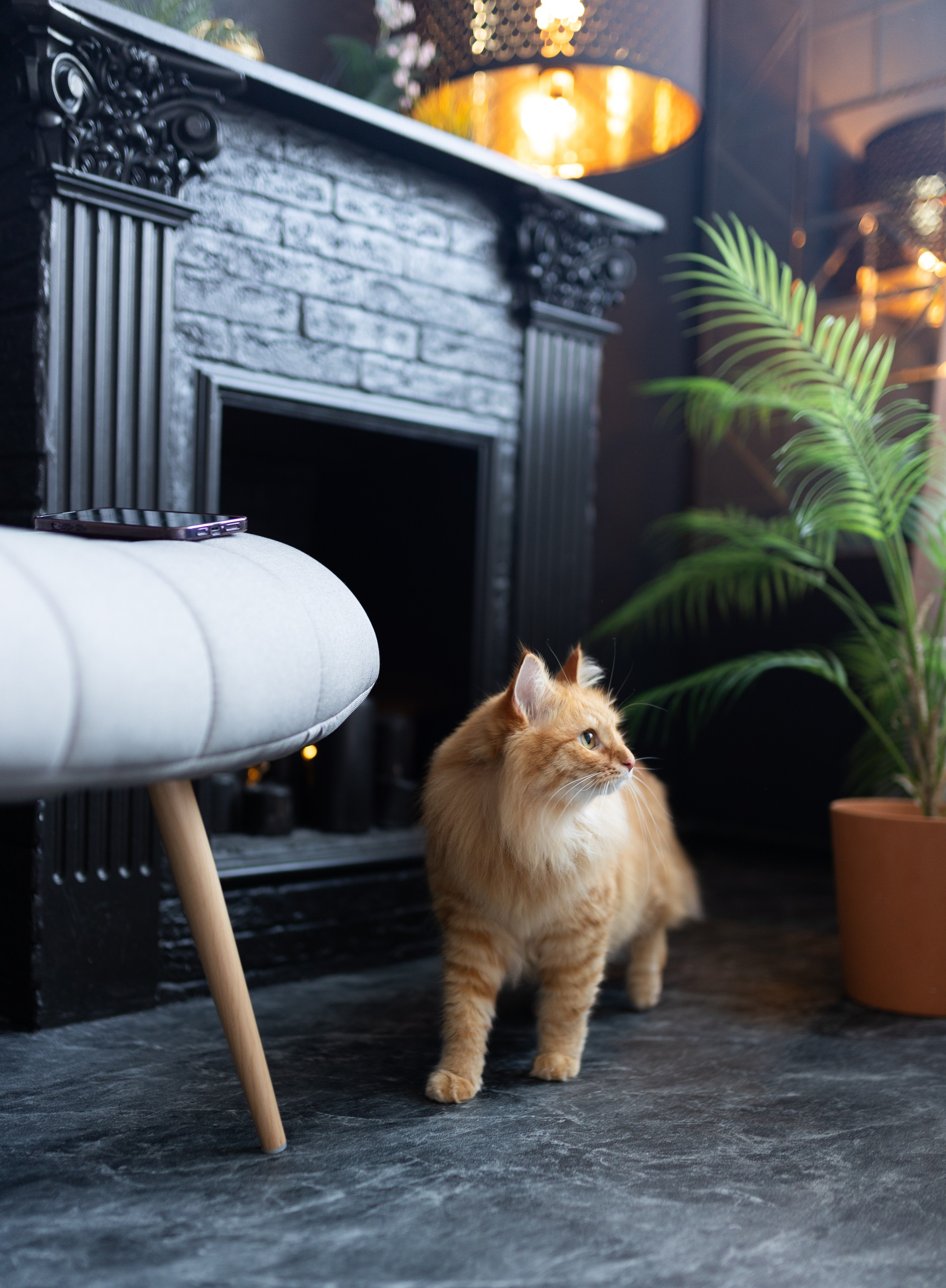 Свадебный и семейный фотограф в Москве Вероника Сычева