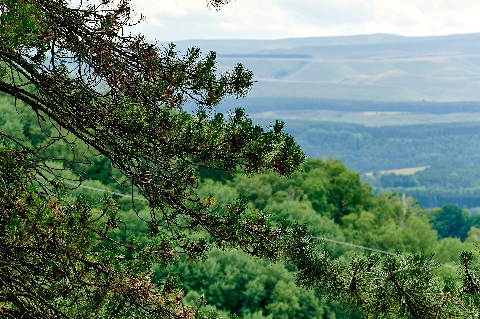 Кисловодск, Россия. Август 2024. Фотографии отовсюду и обо всем
