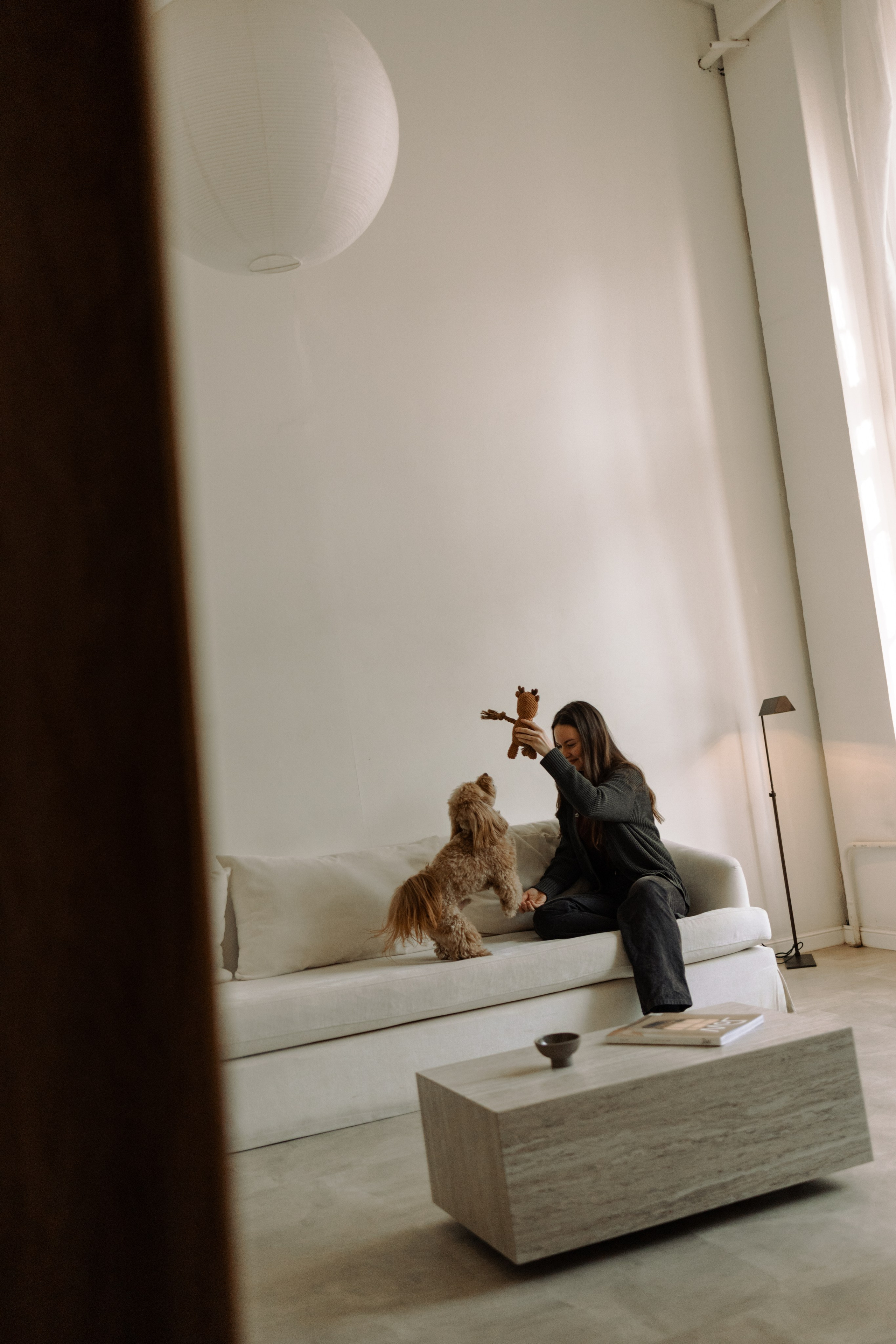 Шкипер и его семья. Фотограф — Анималист | Санкт-Петербург