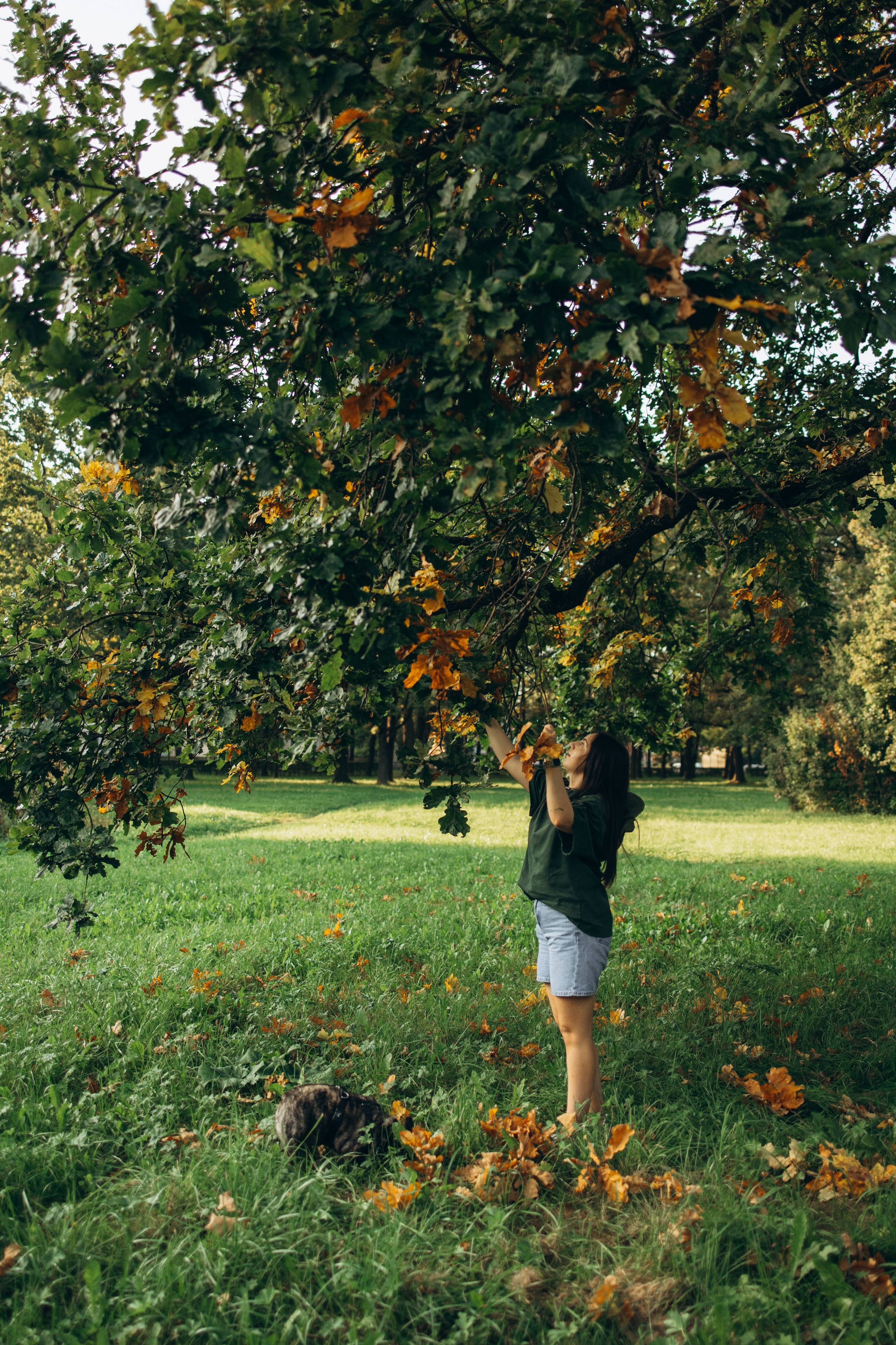 Олеся и Луи. Фотограф — Анималист | Санкт-Петербург