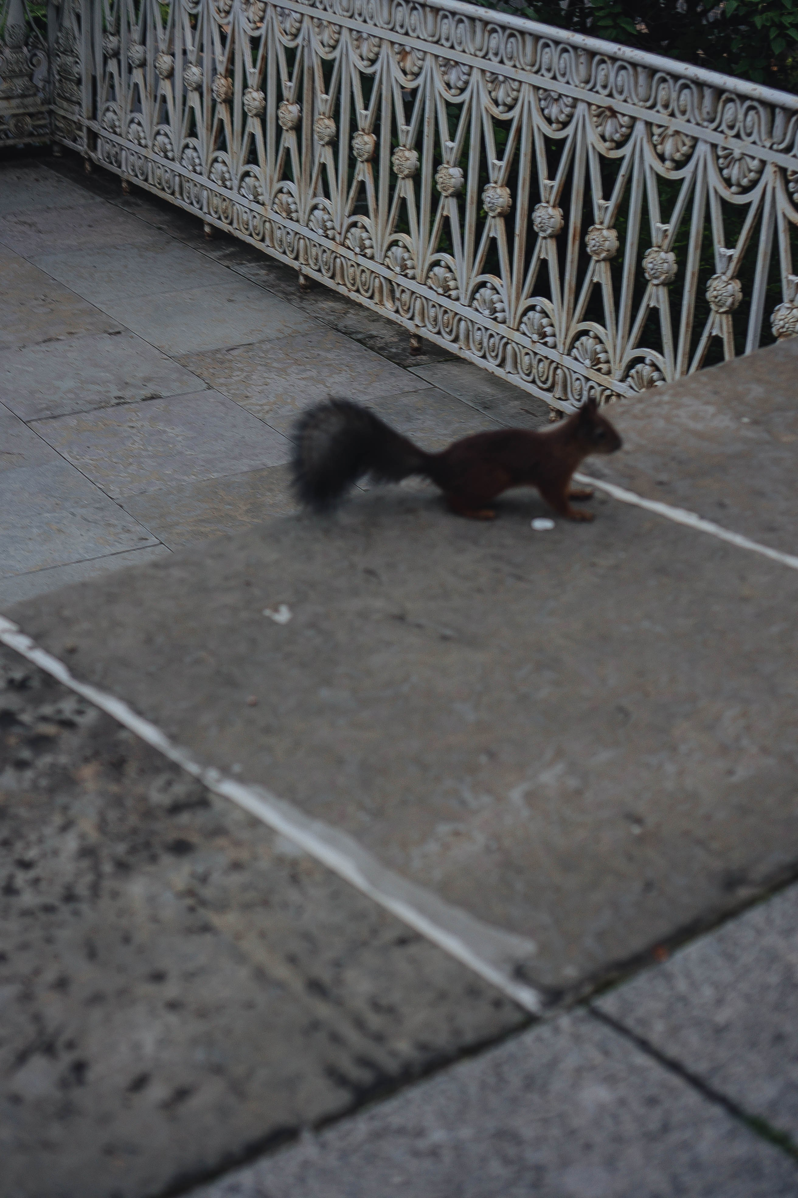 СВАДЕБНАЯ СЬЕМКА НА РАССВЕТЕ НА ЕЛАГИНОМ ОСТОРОВЕ. Профессиональный фотограф, Санкт-Петербург — Виктория Богомолова