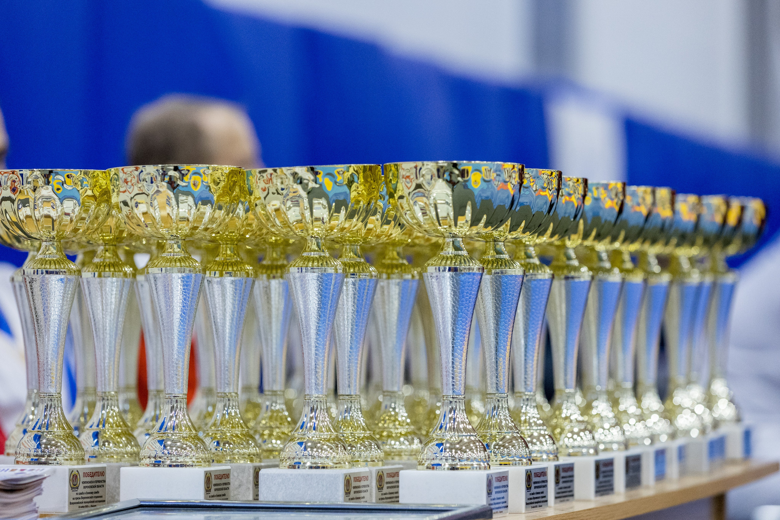 Чемпионат и Первенство по Самбо. Владислав Волков | Фотография и видеосъемка в Воронеже