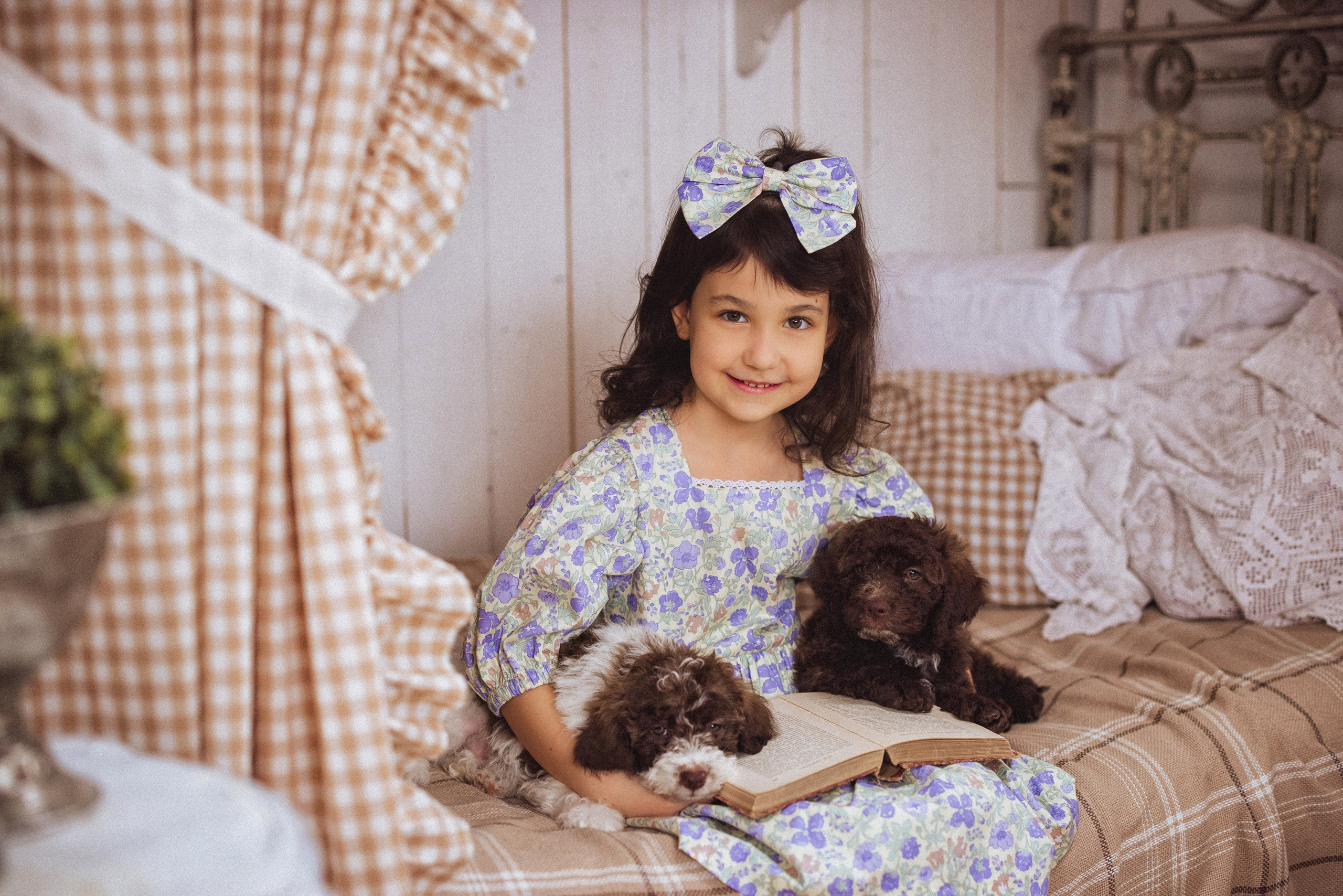 Фотосессия с щенками Лаго́тто-романьо́ло, в Винтажной фотостудии город Краснодар. Семейный и детский фотограф в Краснодаре Анна Трашкова