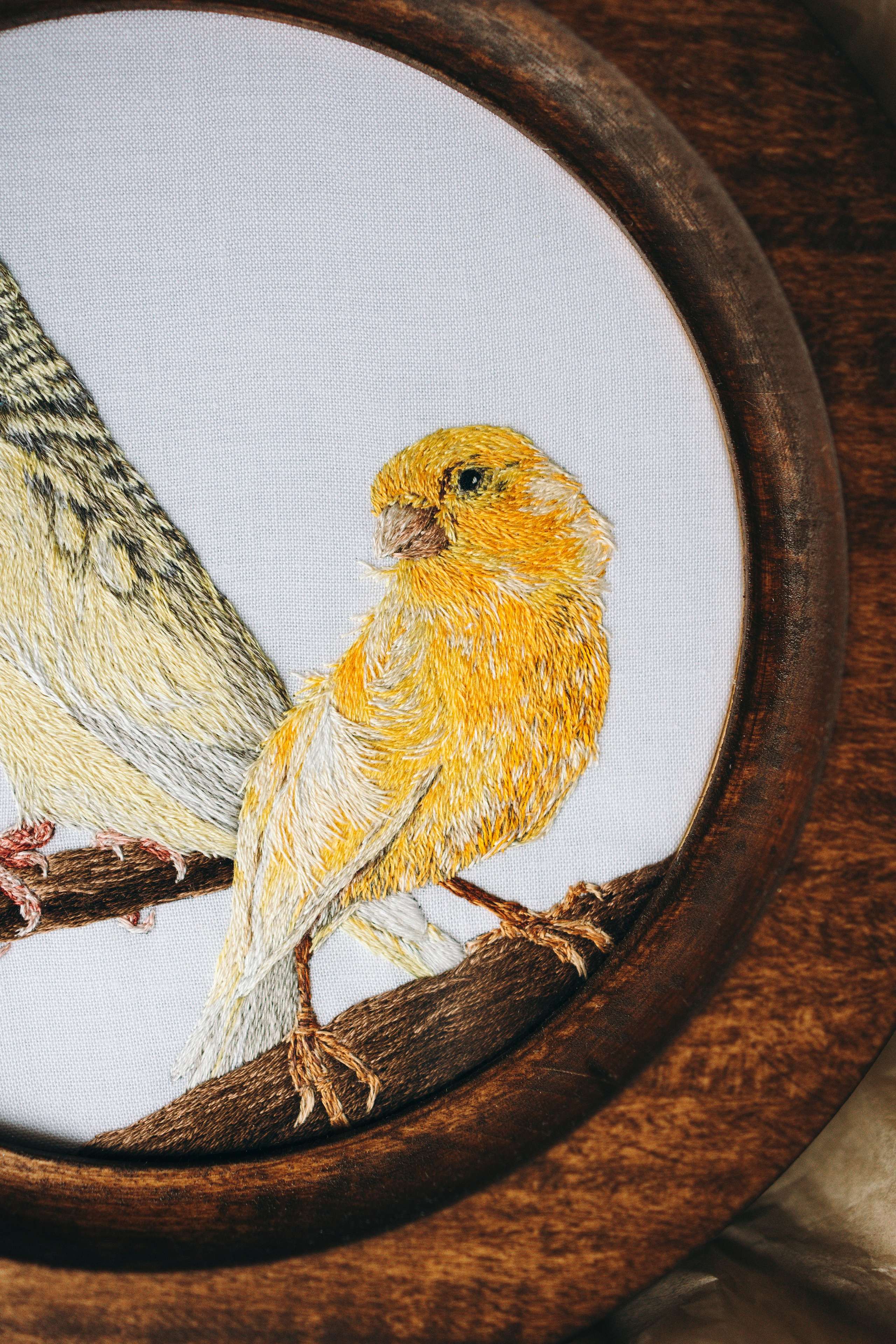 Портфолио. Портретная вышивка питомцев