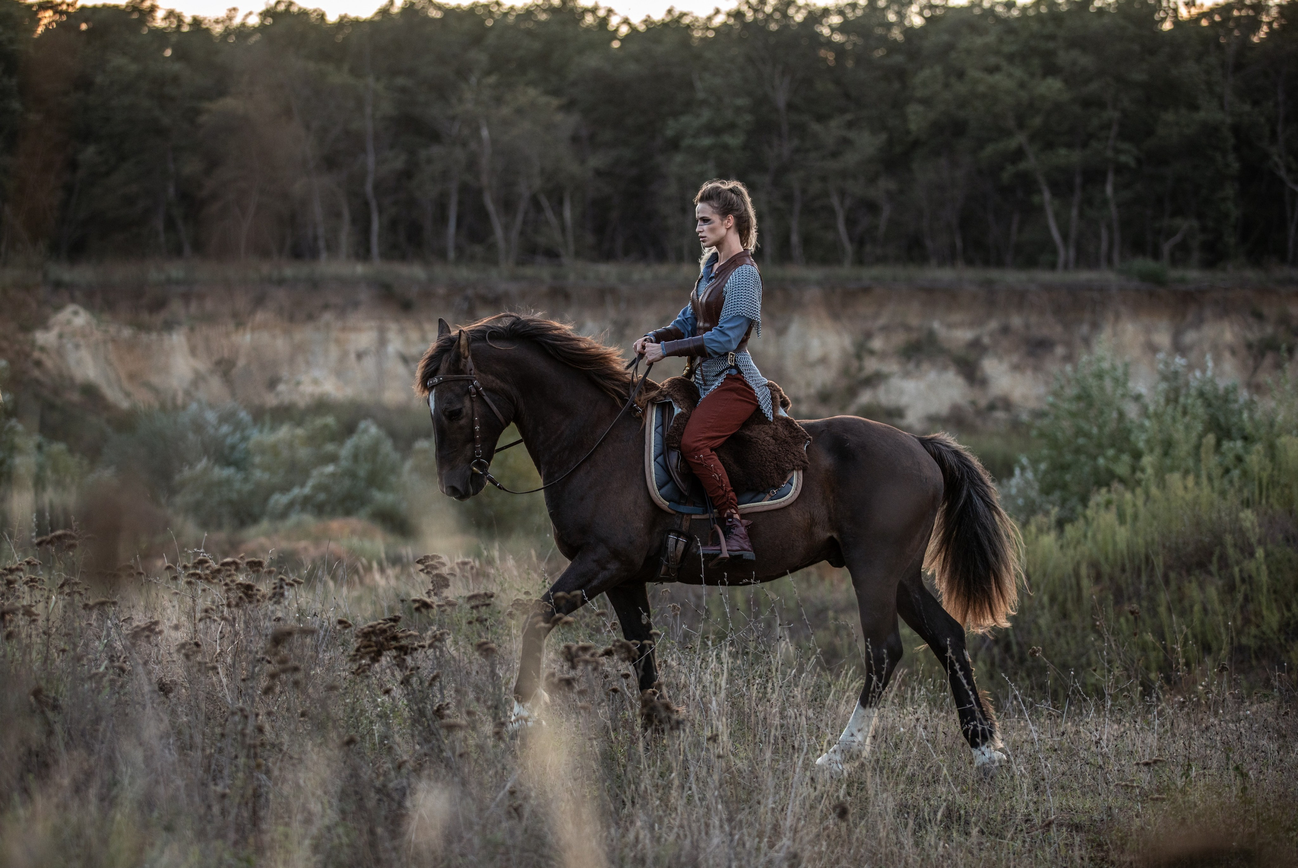 Викинг. Конный и театральный фотограф Анапа