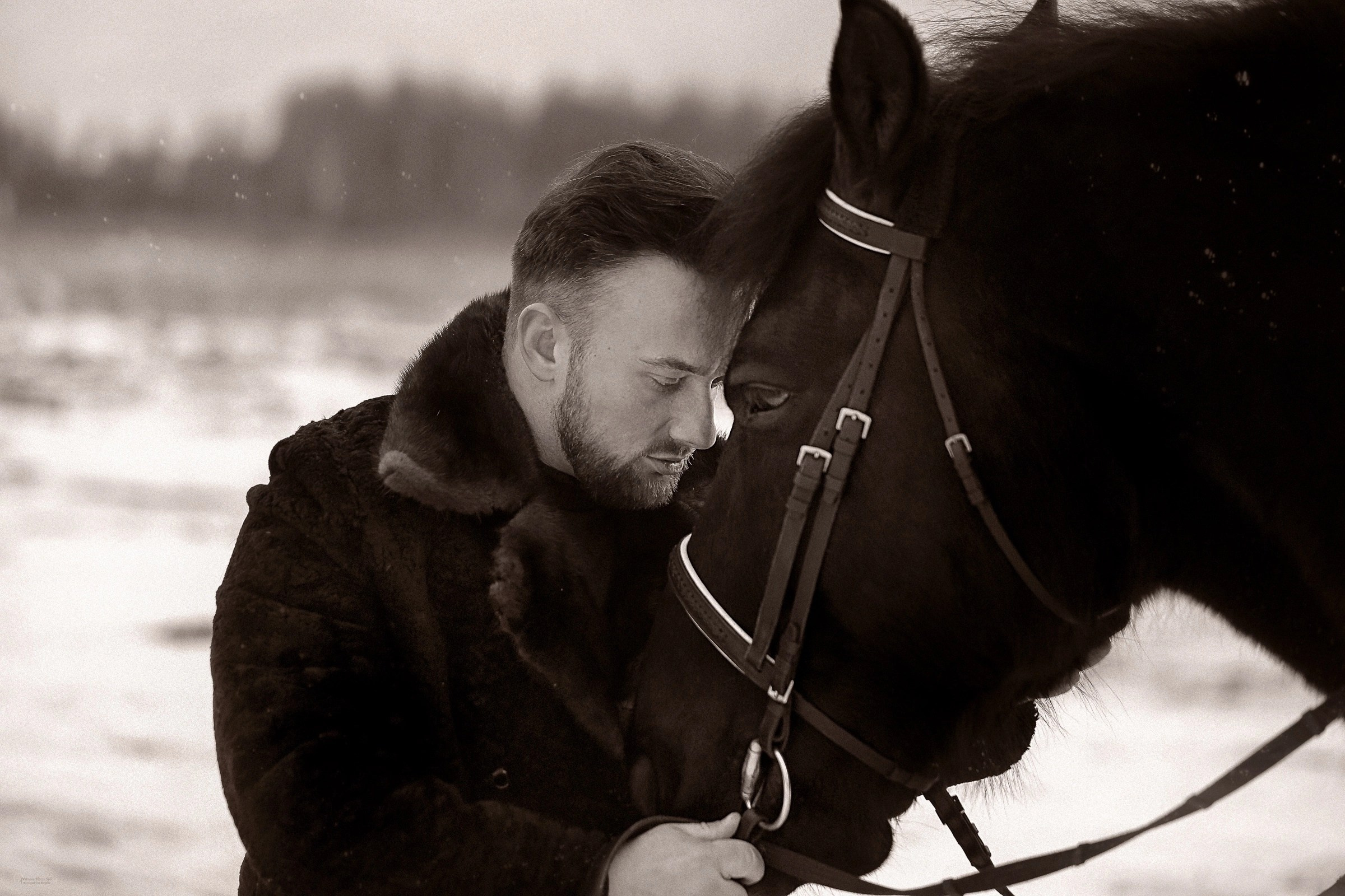 Фотосессии с лошадьми зимой. Фотограф женский и мужской портрет Санкт-Петербург