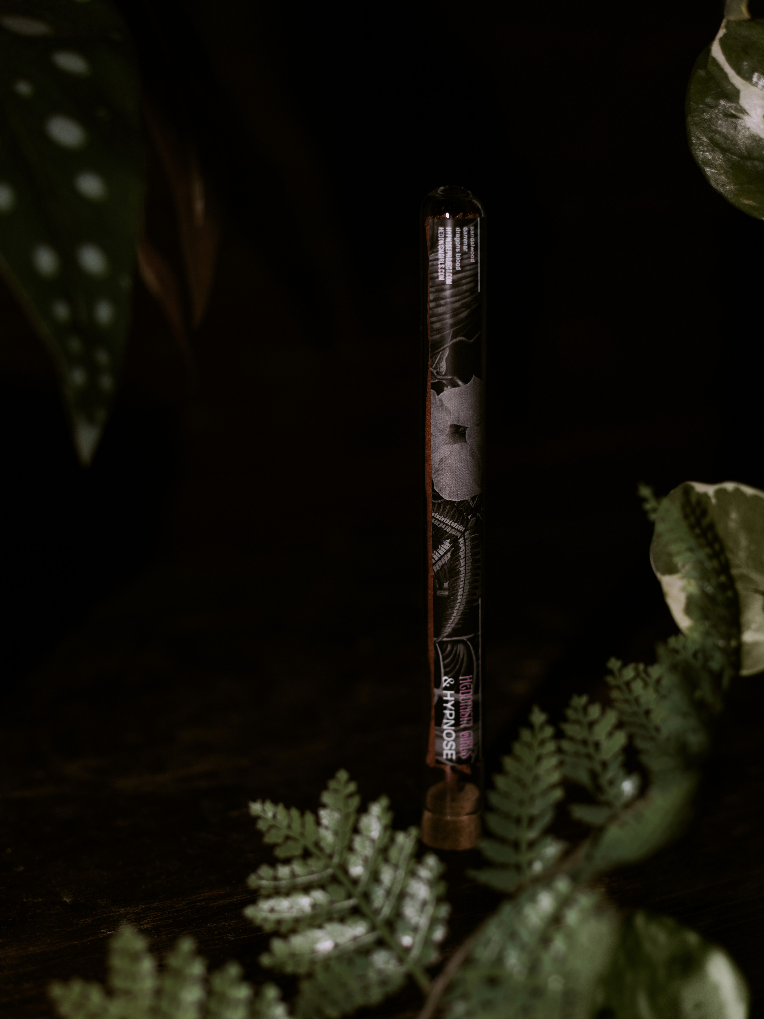 HEDONISMGIRL. Фотограф Москва Анастасия Толстова