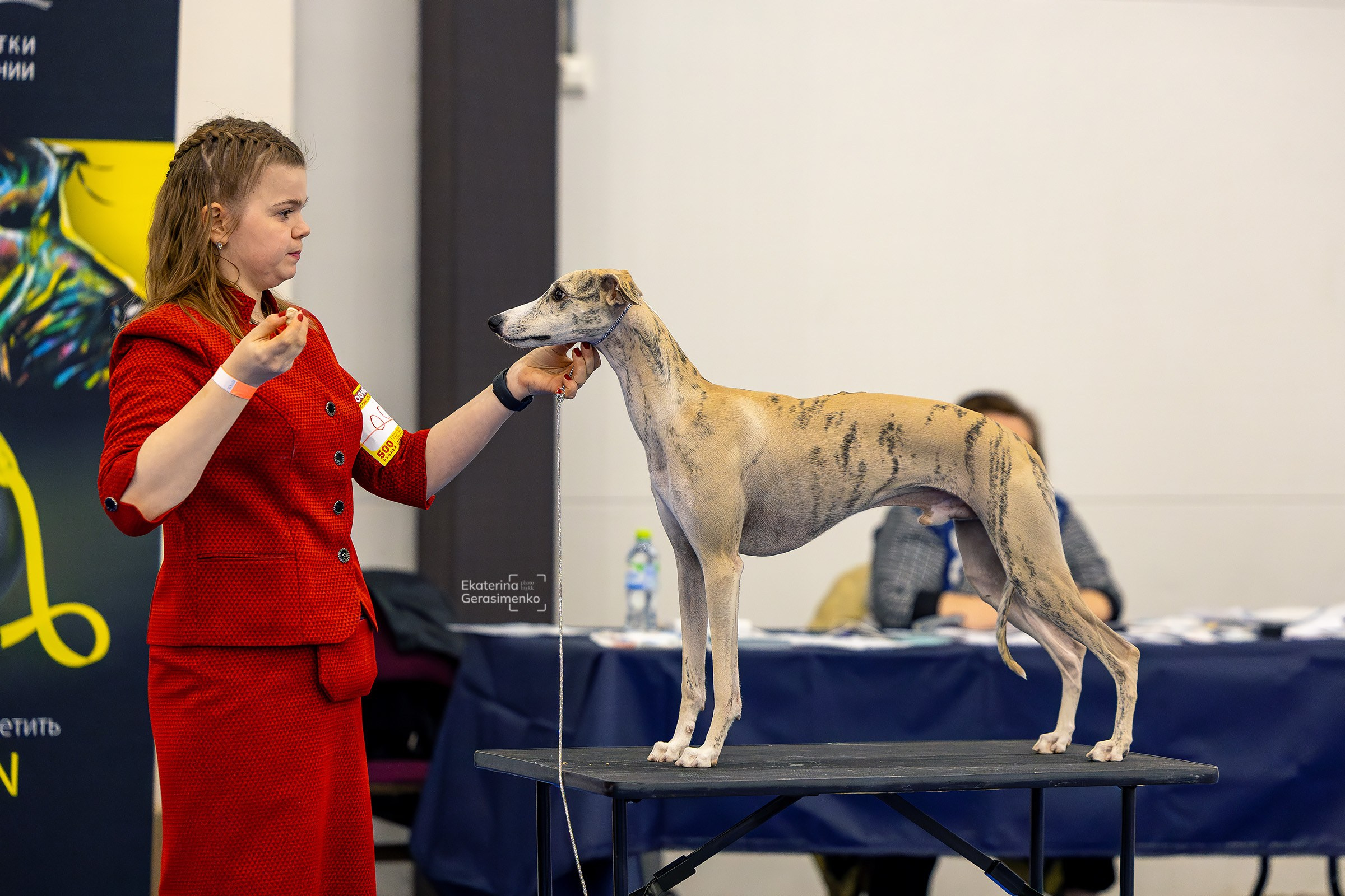 26–27 апреля 2025, Выставка РКФ, г. Санкт-Петербург. Htykk_photo